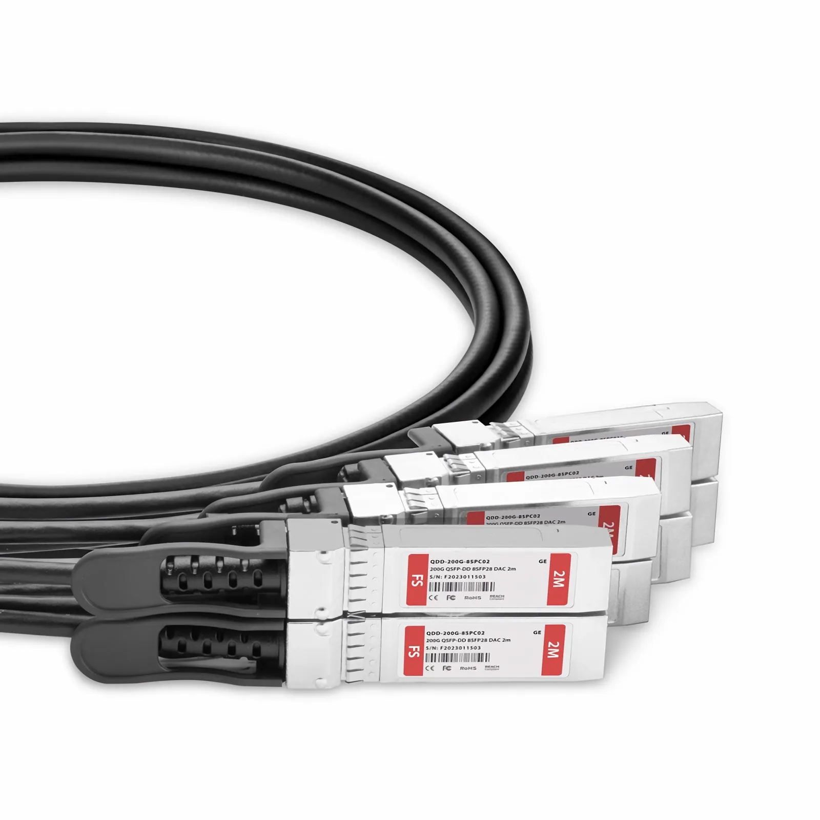 2m (7ft) Generic Compatible 200G QSFP-DD 8 x 25G NRZ to 8 x 25G