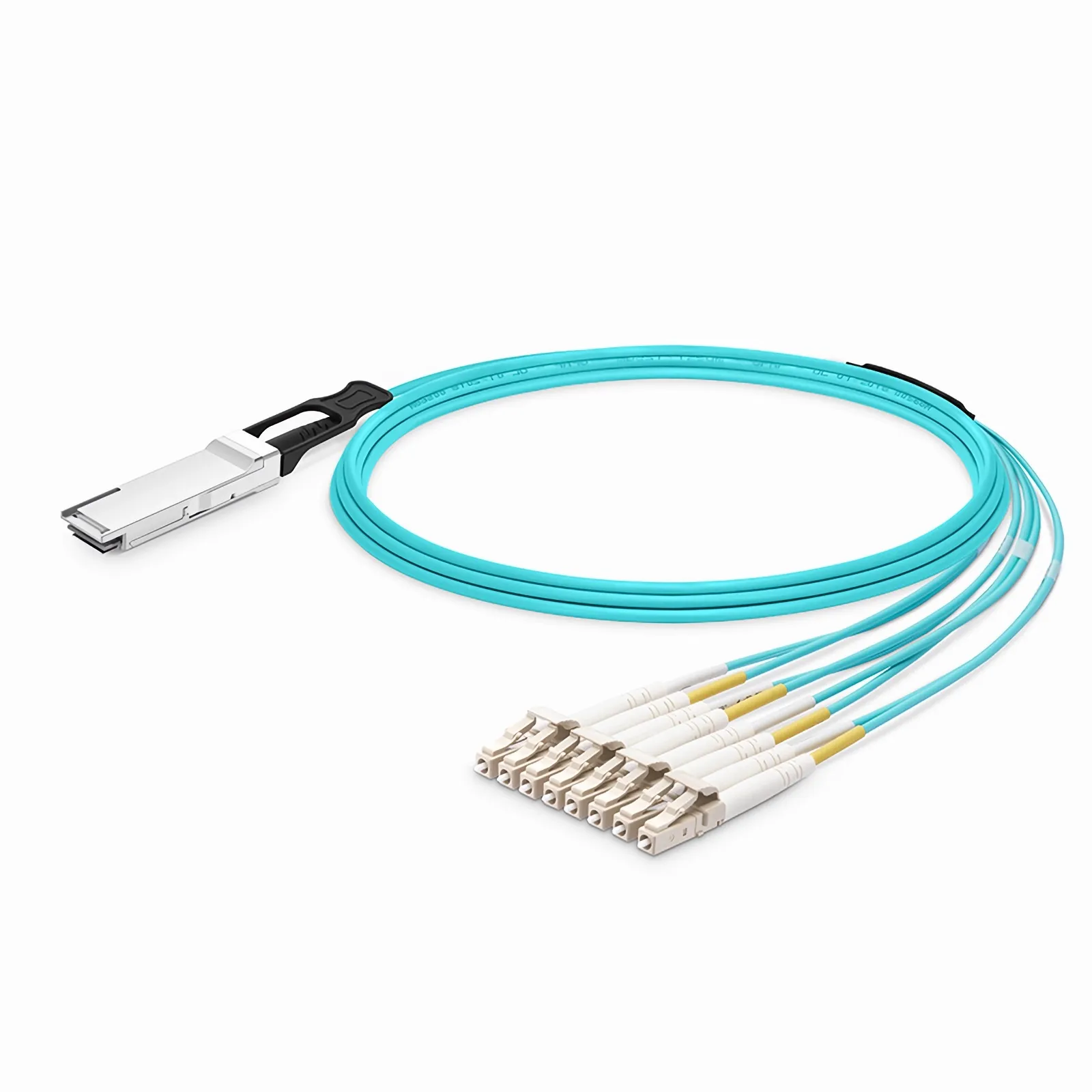 This picture is about 1.