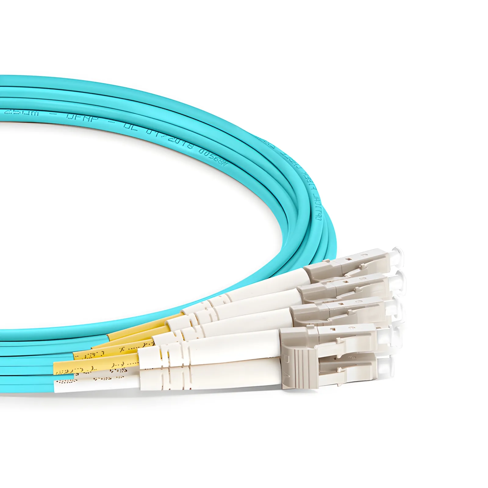 This picture is about 1.