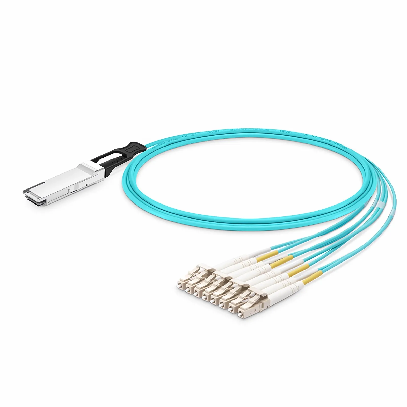 This picture is about 1.