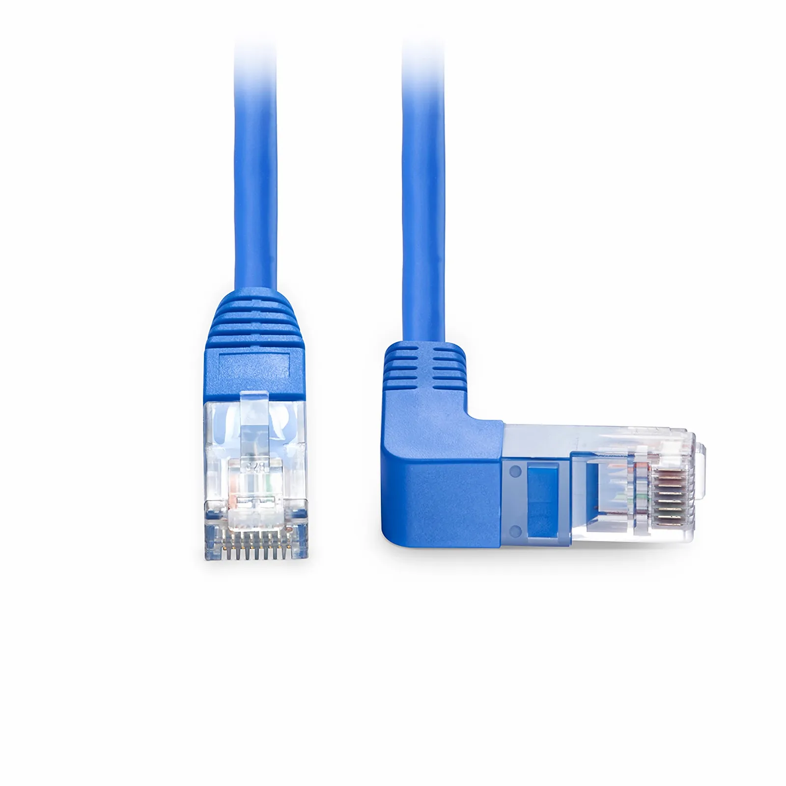 ネット　６，８ｍ×５，６ｍ Current Paradigms and Future Challenges in Harnessing