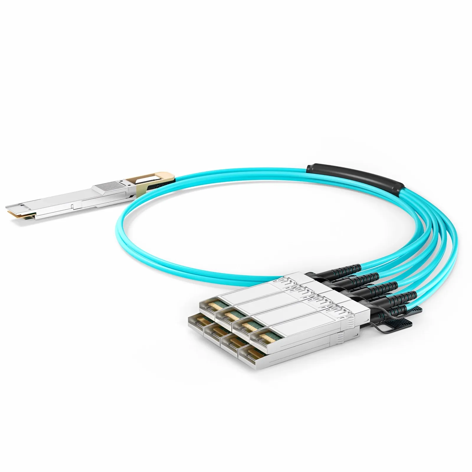 This picture is about https://resource.fs.com/mall/2m-%E5%A4%9A%E5%9B%BE1.jpg.