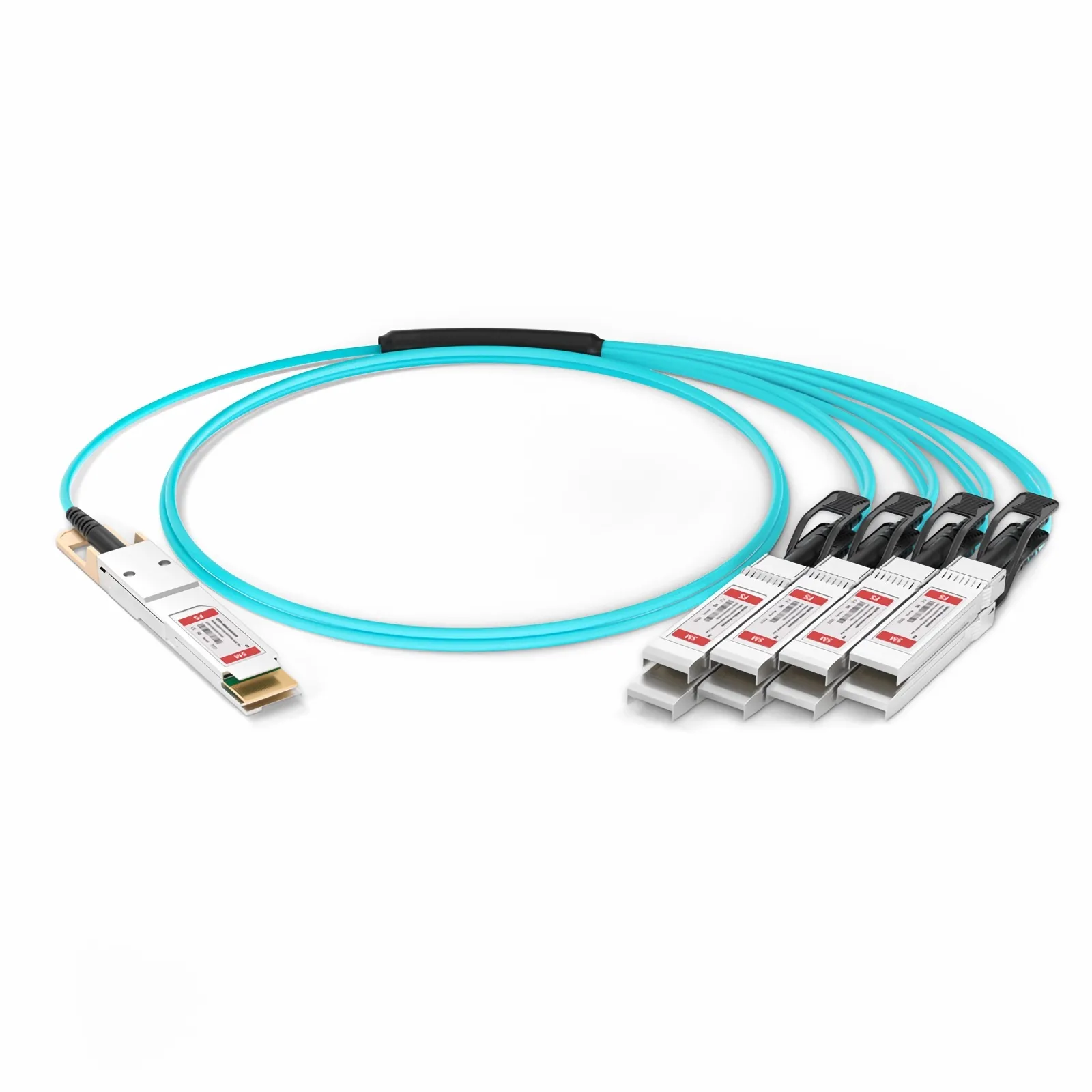 This picture is about https://resource.fs.com/mall/5m-%E4%B8%BB%E5%9B%BE1.jpg.