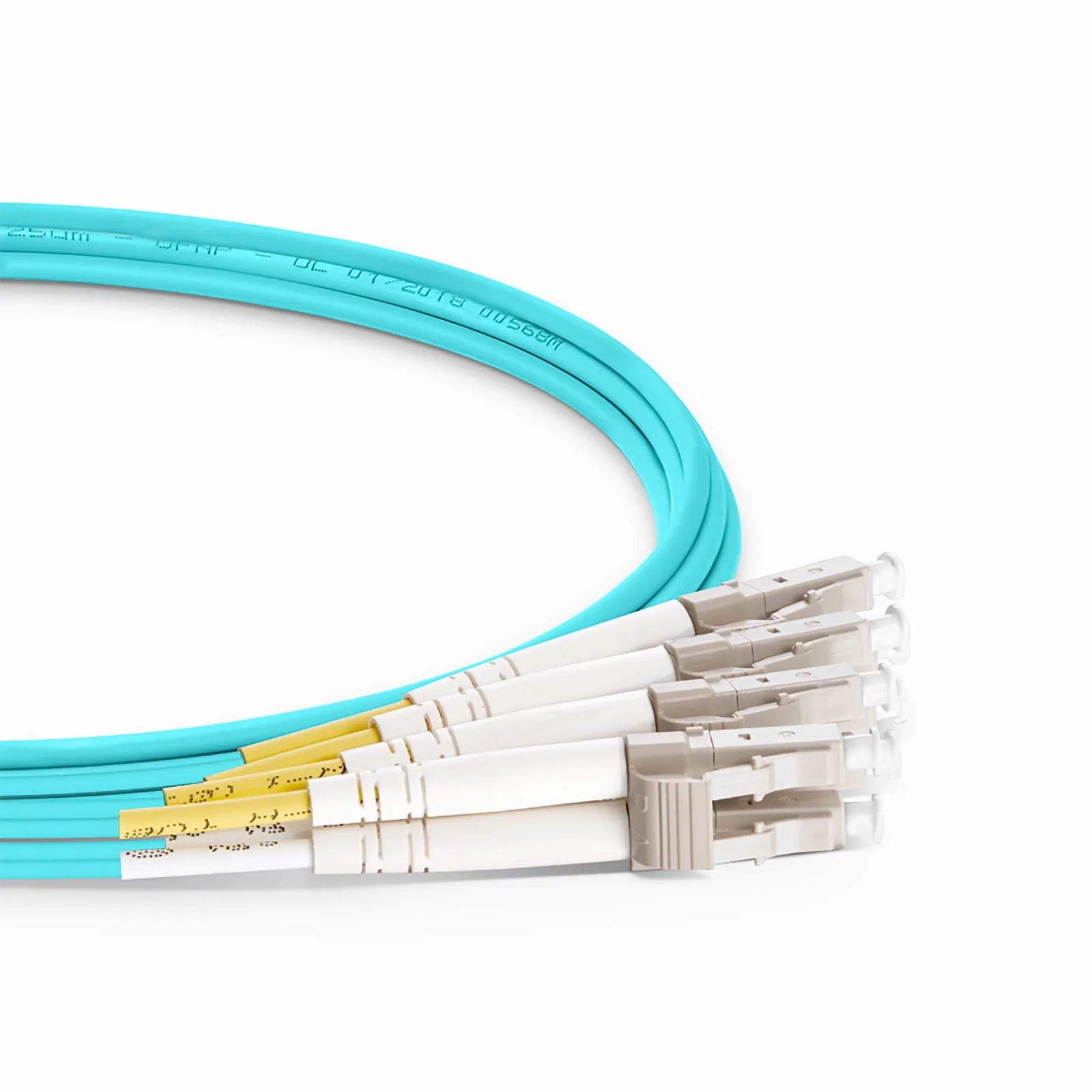 This picture is about 1.