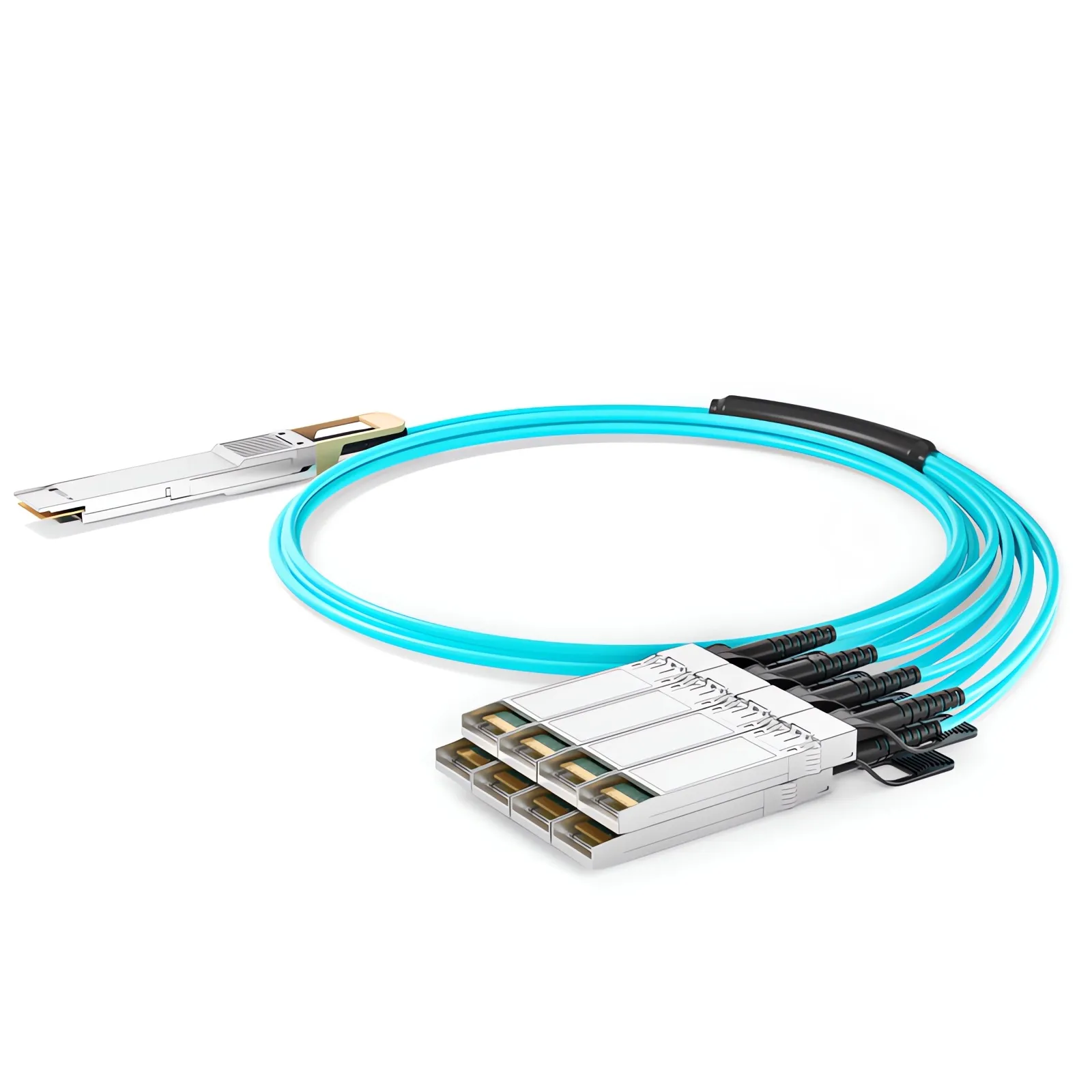 This picture is about ed.