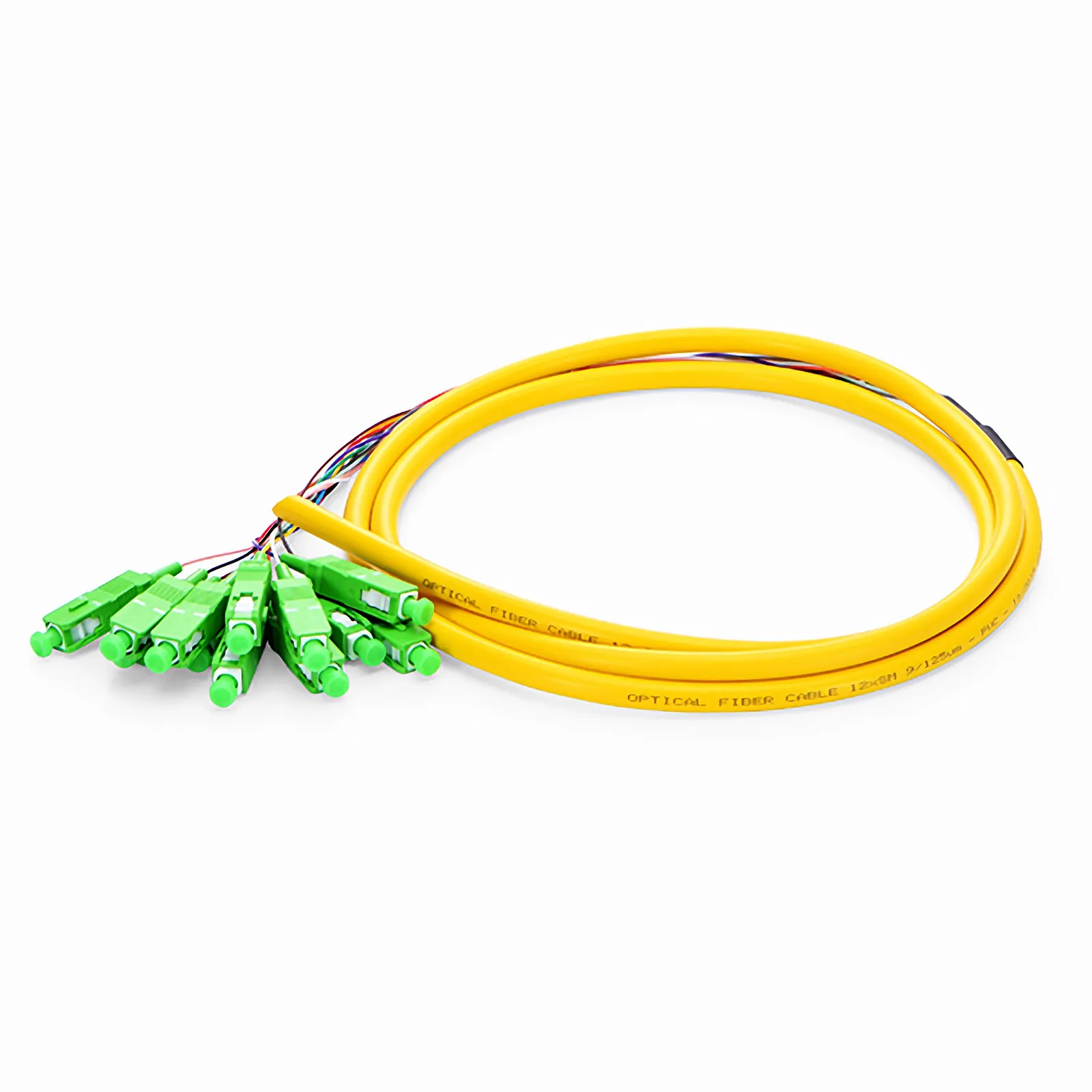 1.5m (5ft) Fiber Pigtail, SC APC to Unterminated, 12 Fibers, Bunch, OS2 Single Mode, PVC (Unrated), 0.9mm, Yellow