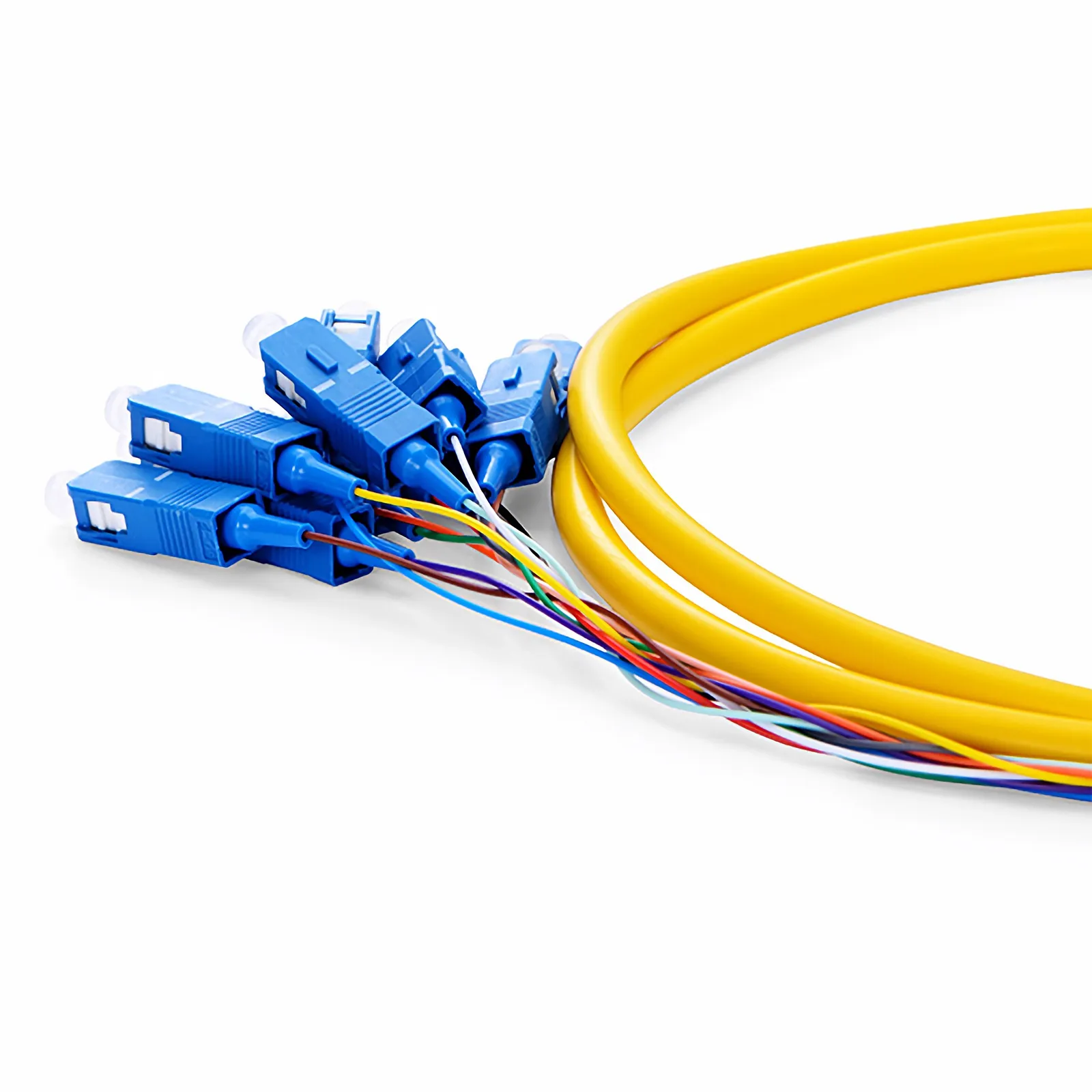 1.5m (5ft) Fiber Pigtail, SC UPC to Unterminated, 12 Fibers, Bunch, OS2 Single Mode, PVC (Unrated), 0.9mm, Yellow