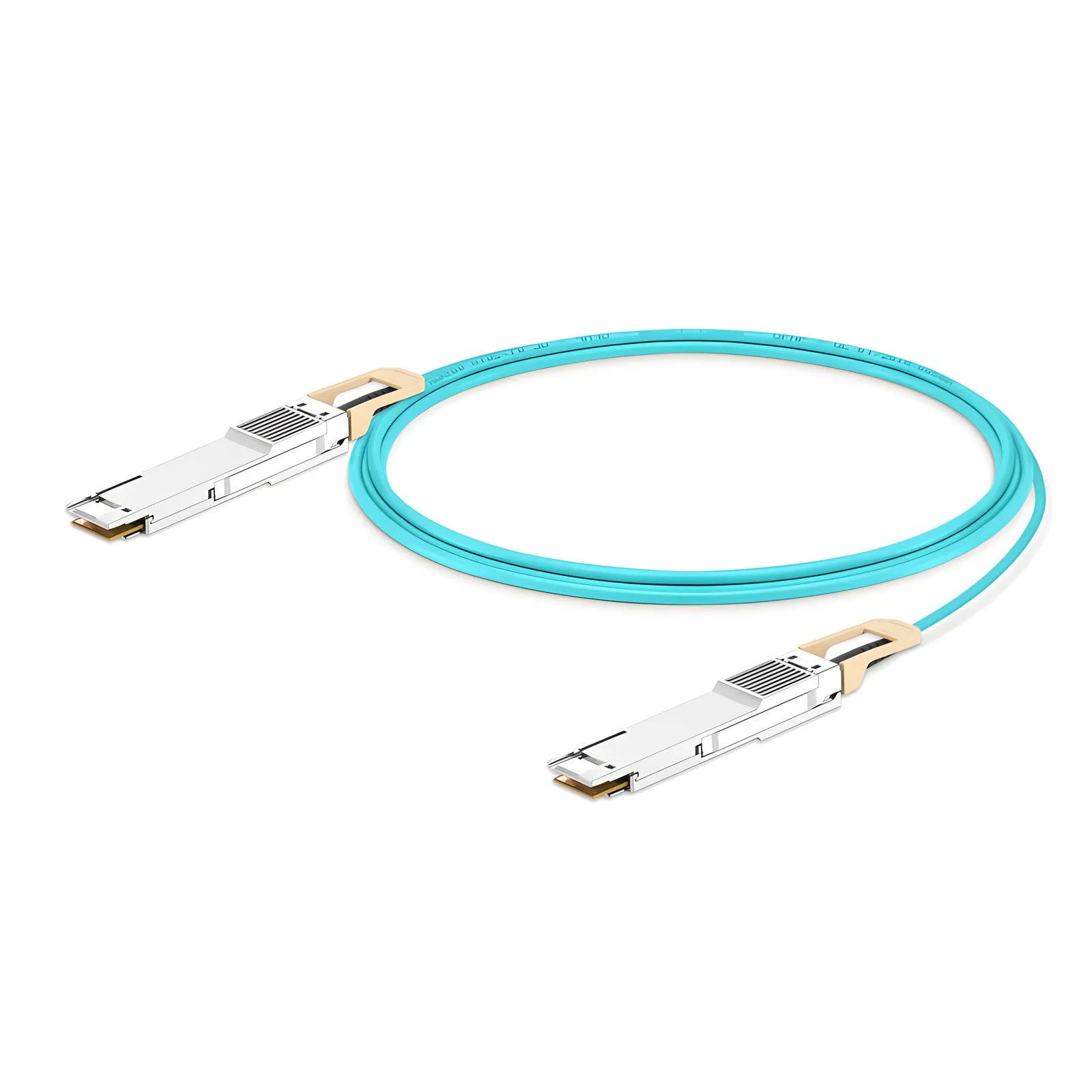 This picture is about ed.