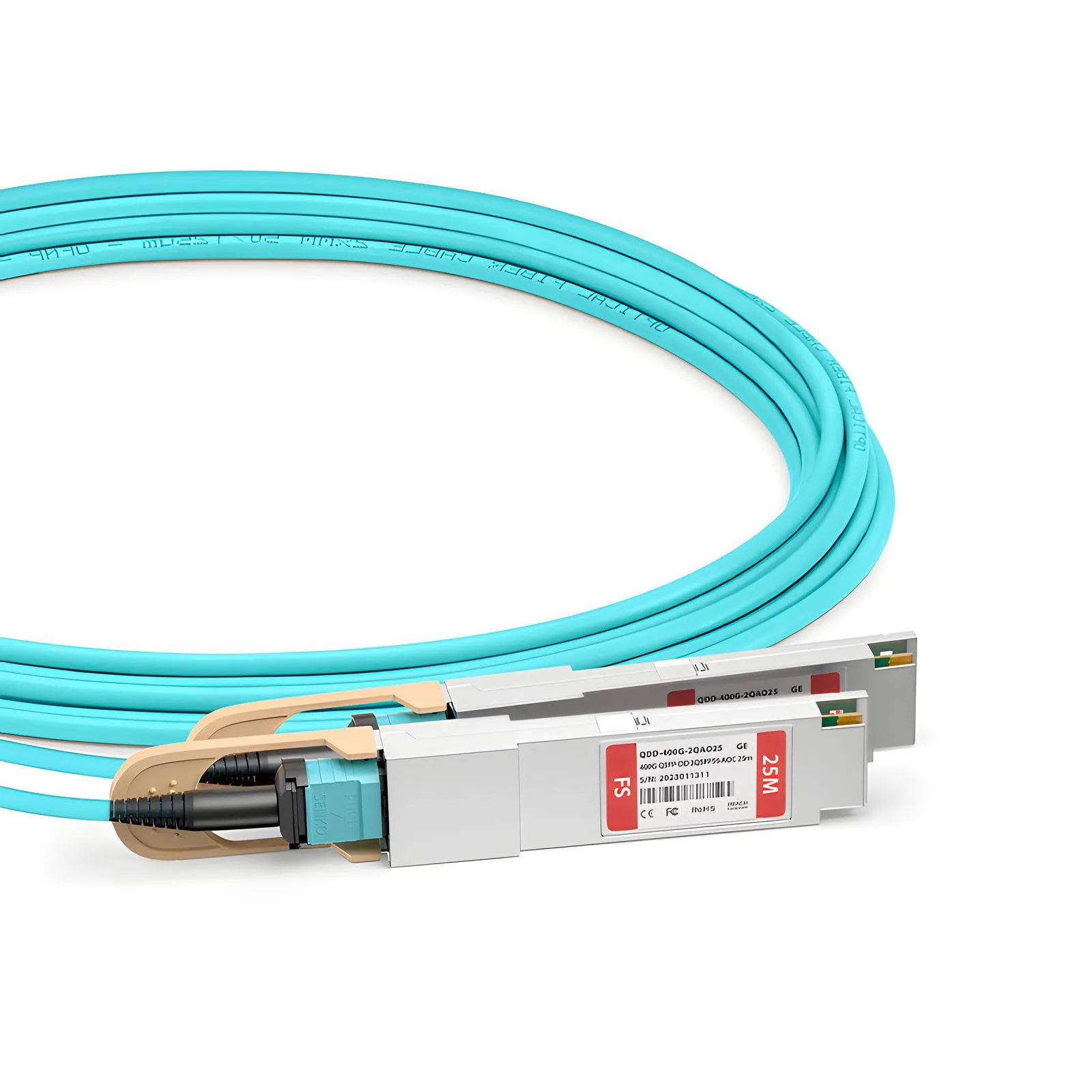 This picture is about ed.