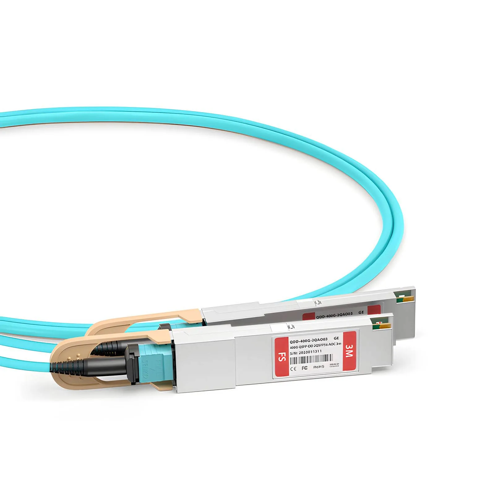 This picture is about rr.