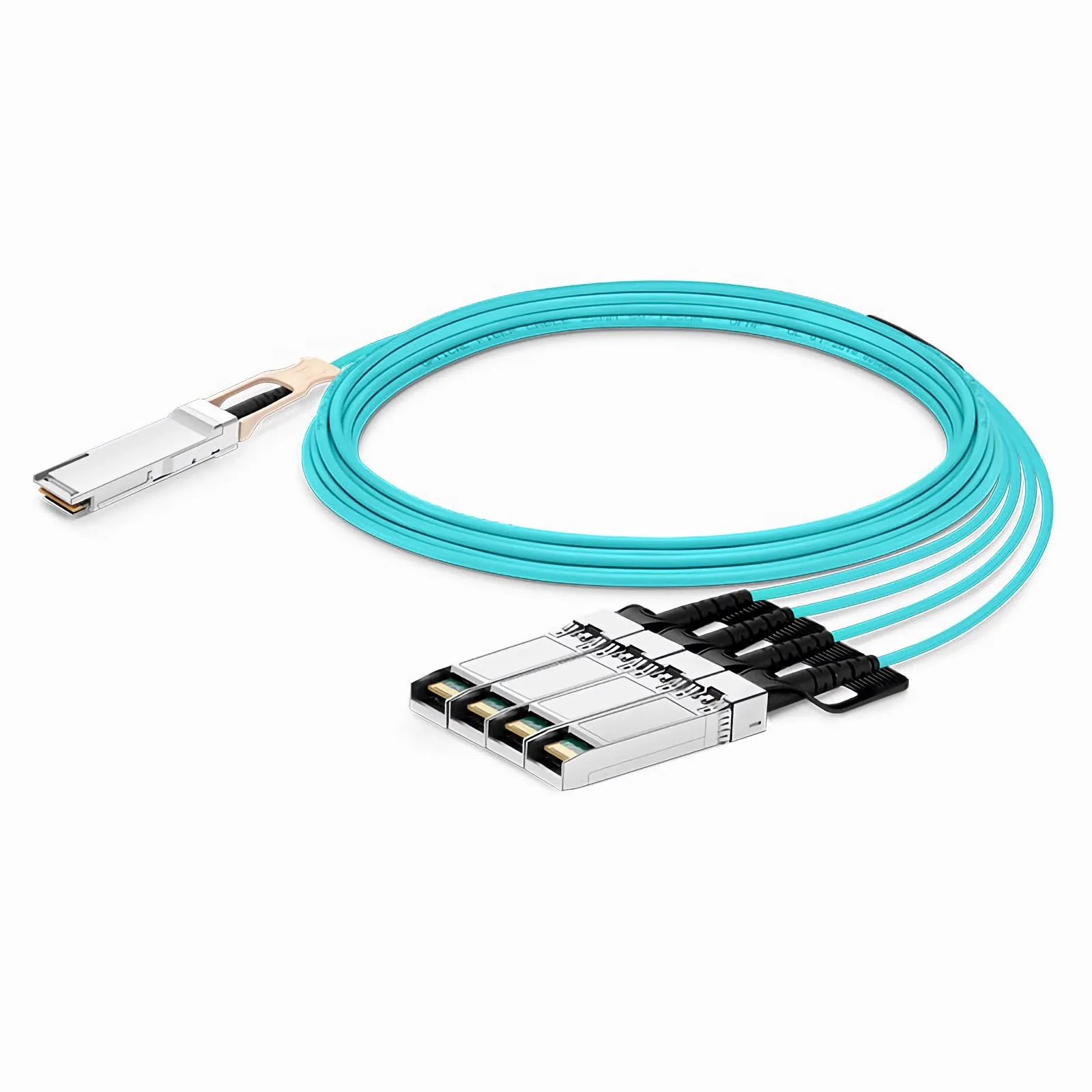 This picture is about ded.