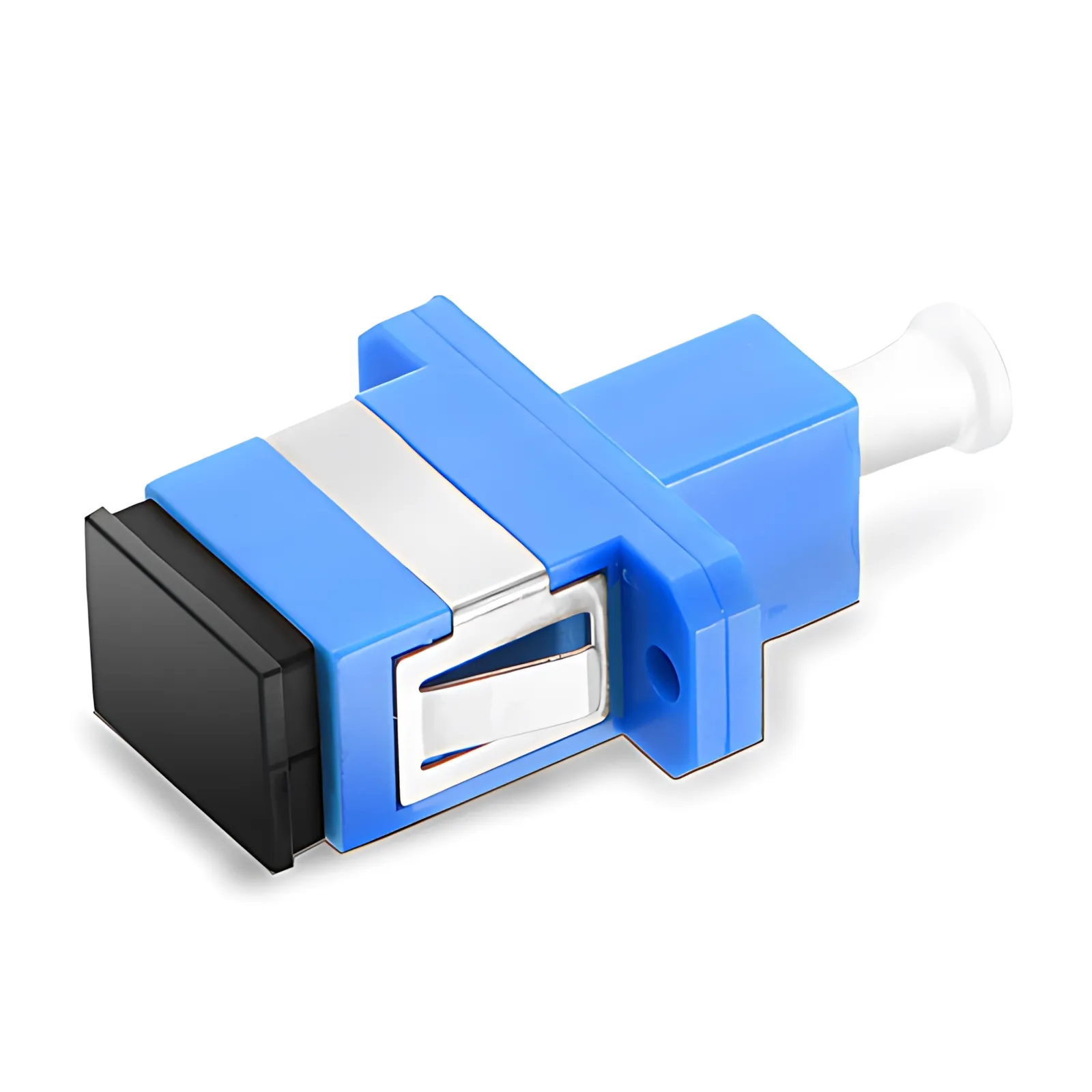 Cette image concerne .