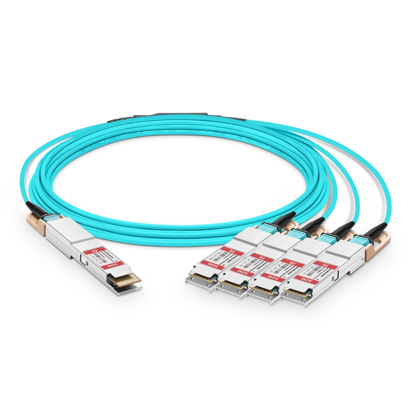 This picture is about 1.