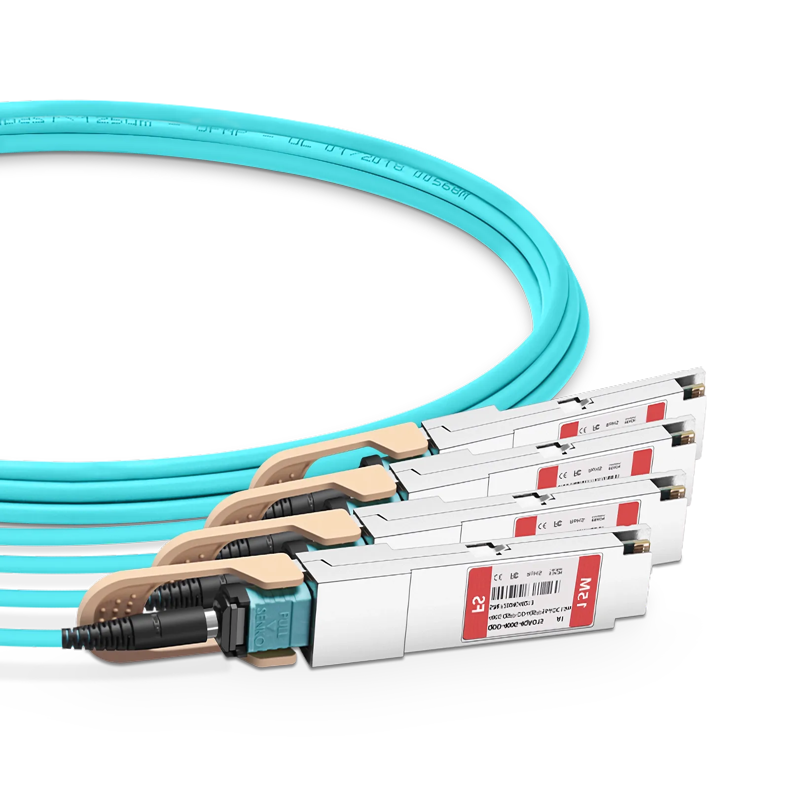 This picture is about 1.