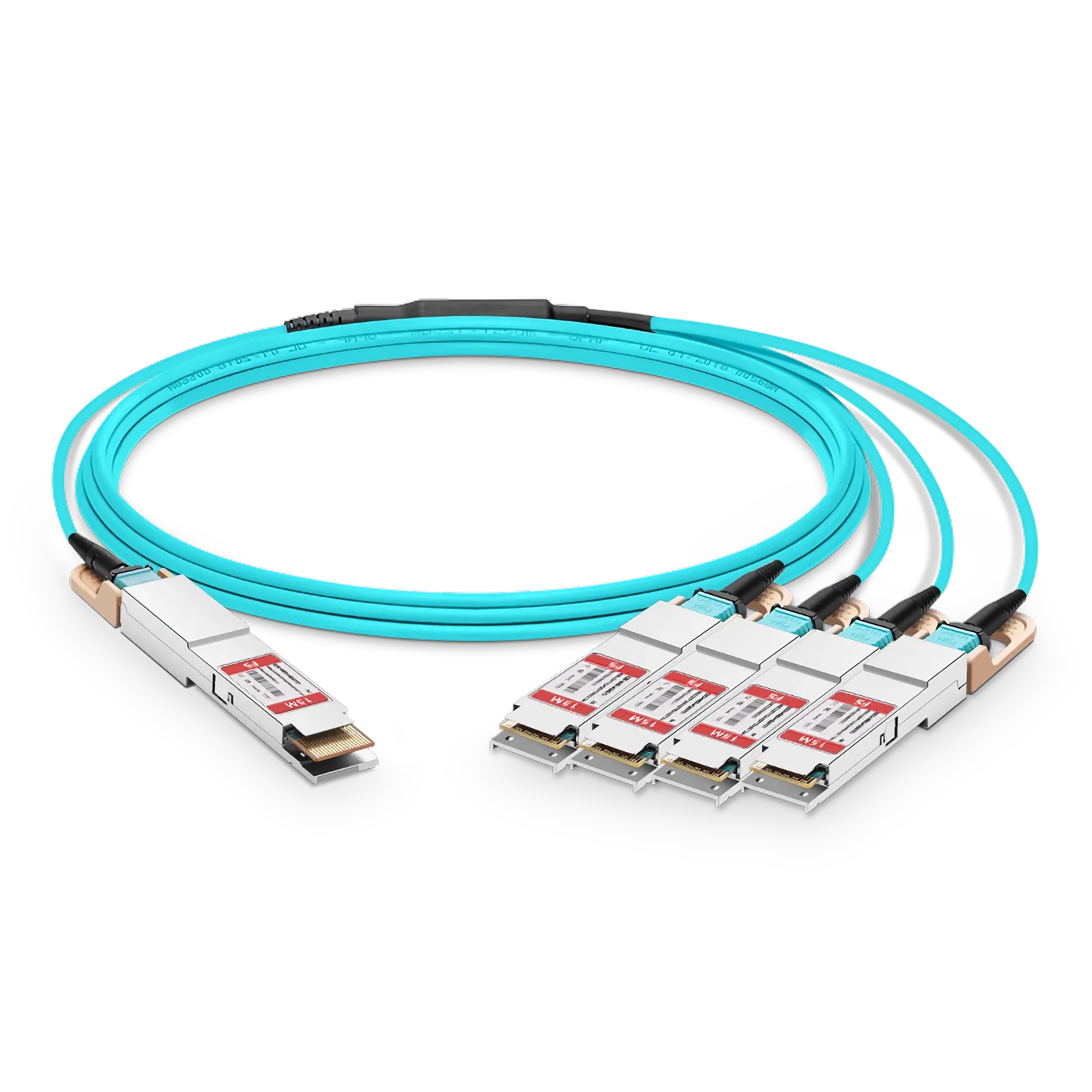 This picture is about 1.