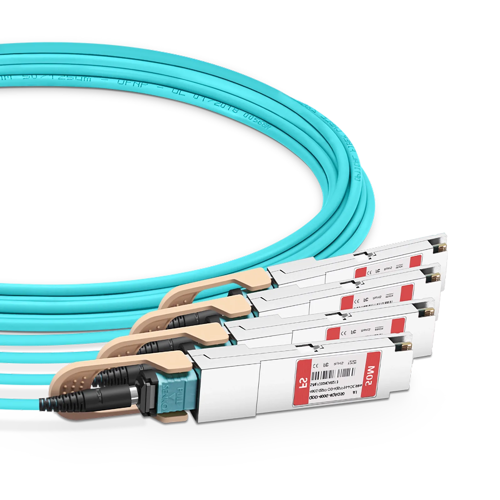 This picture is about 11.