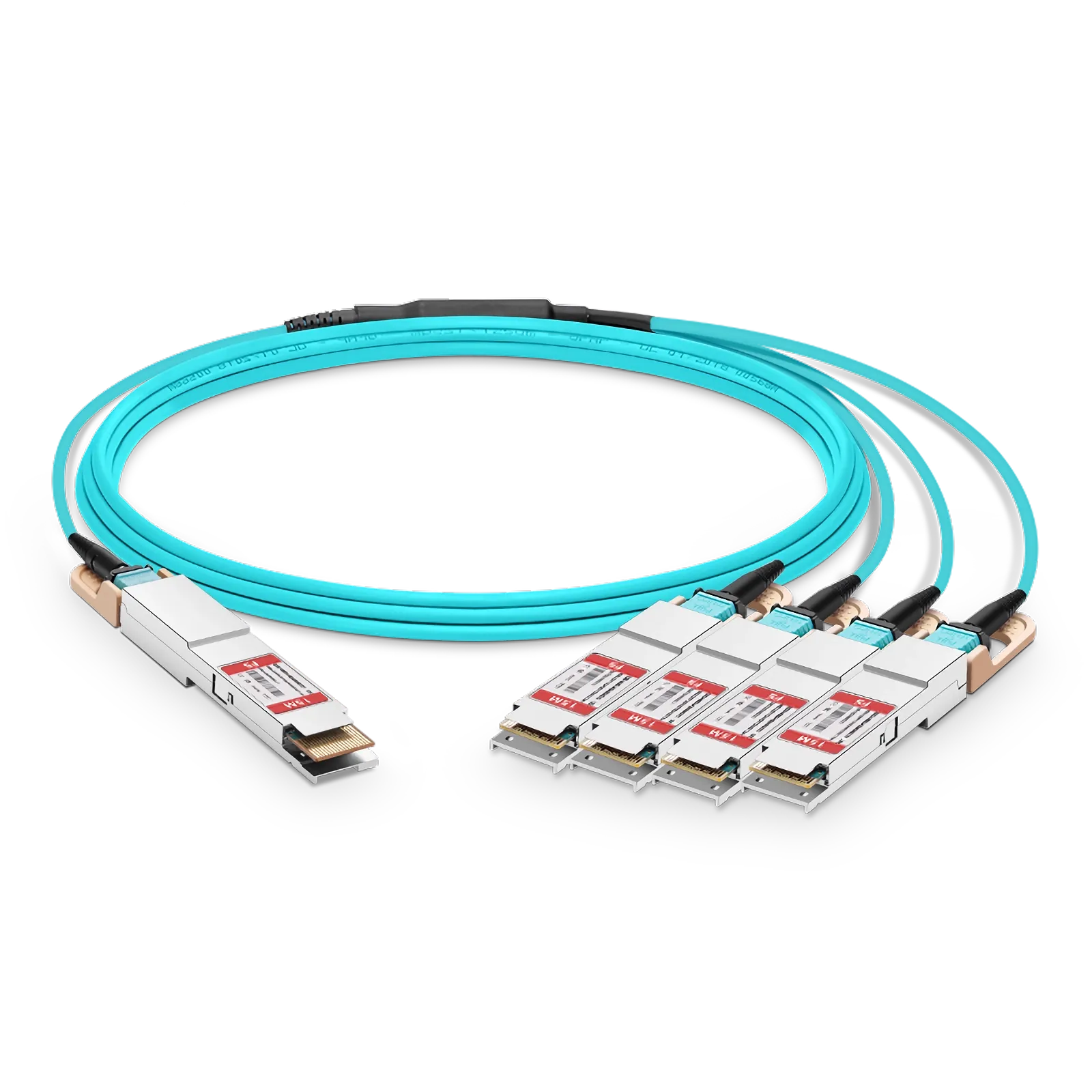 This picture is about 1.