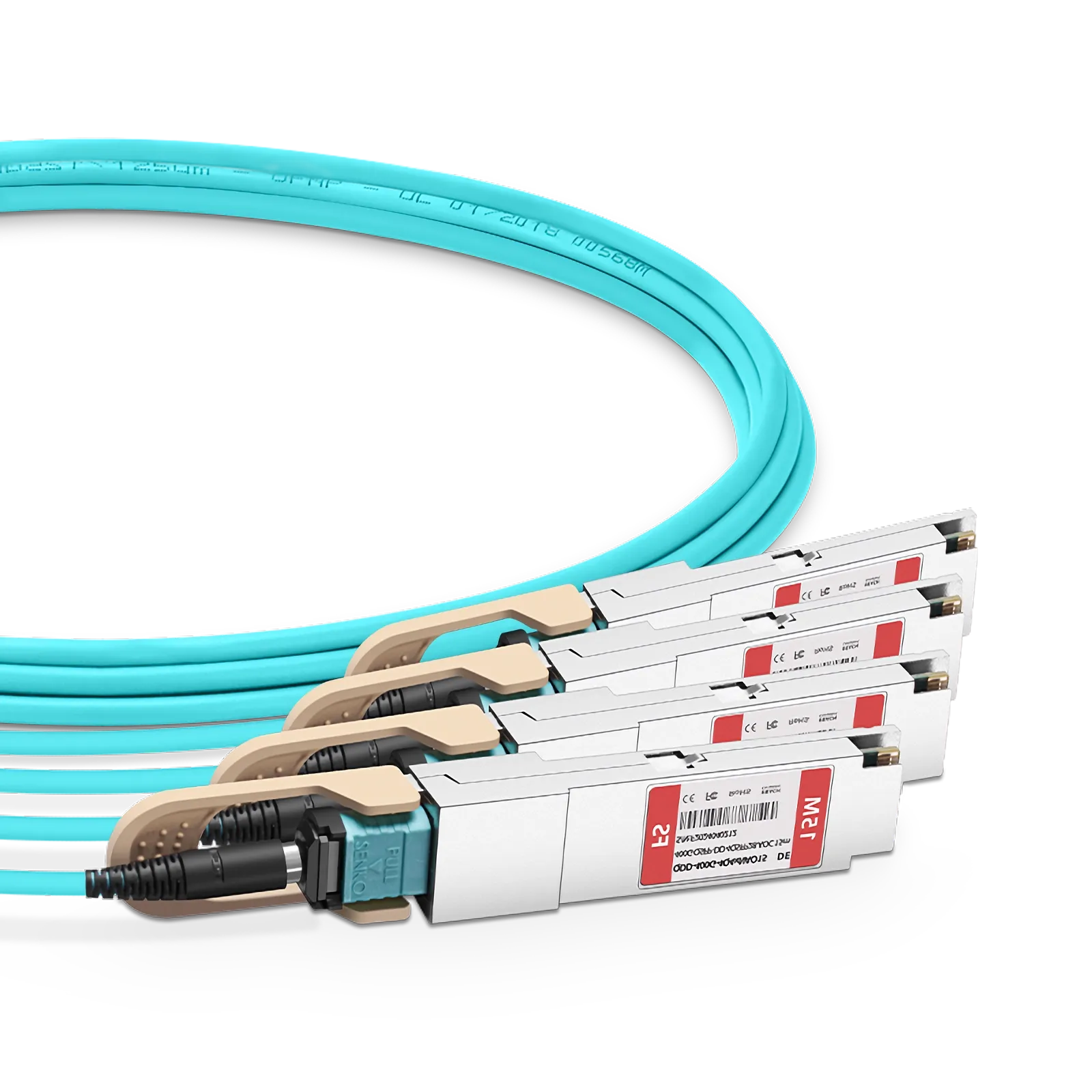 This picture is about 6.