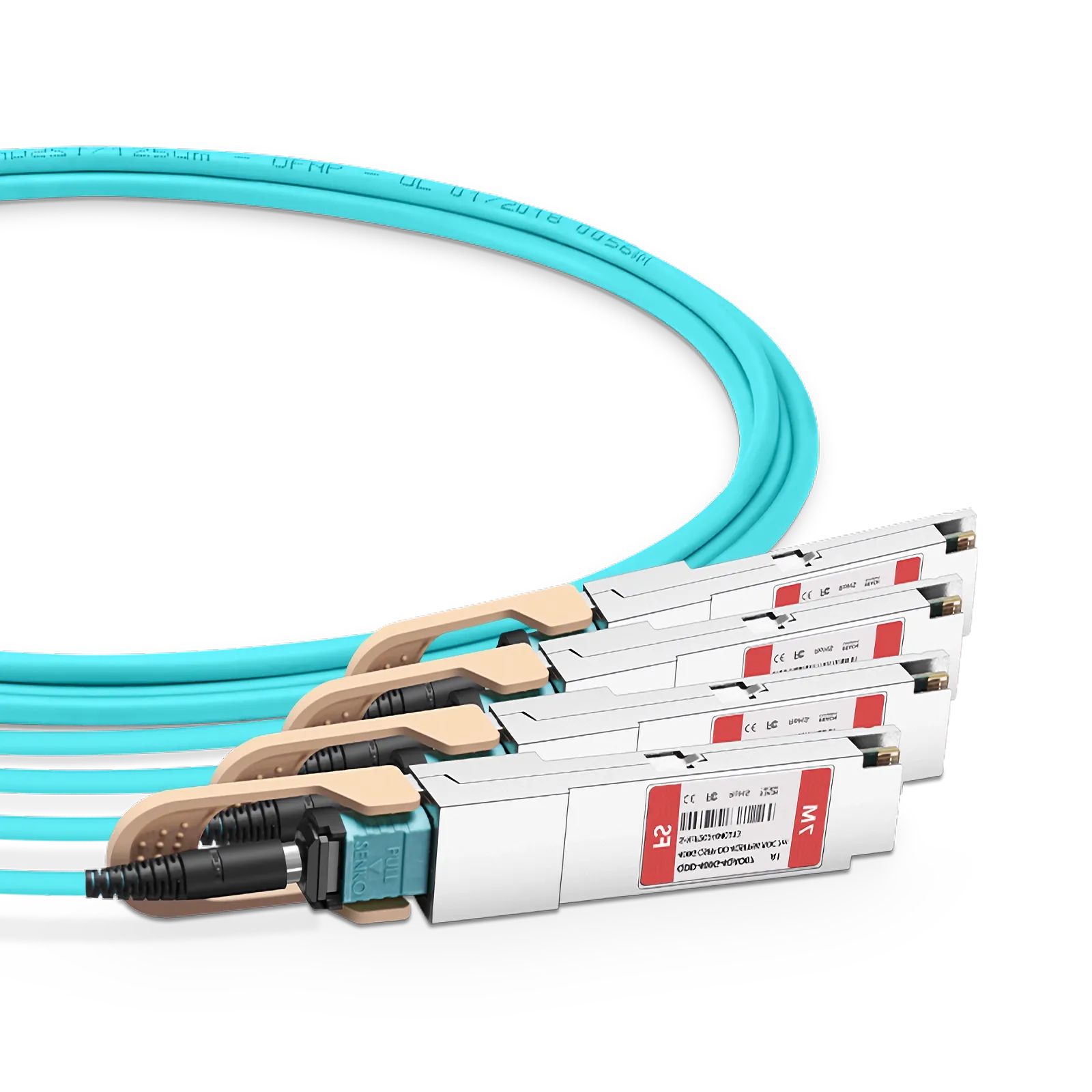 This picture is about 77.