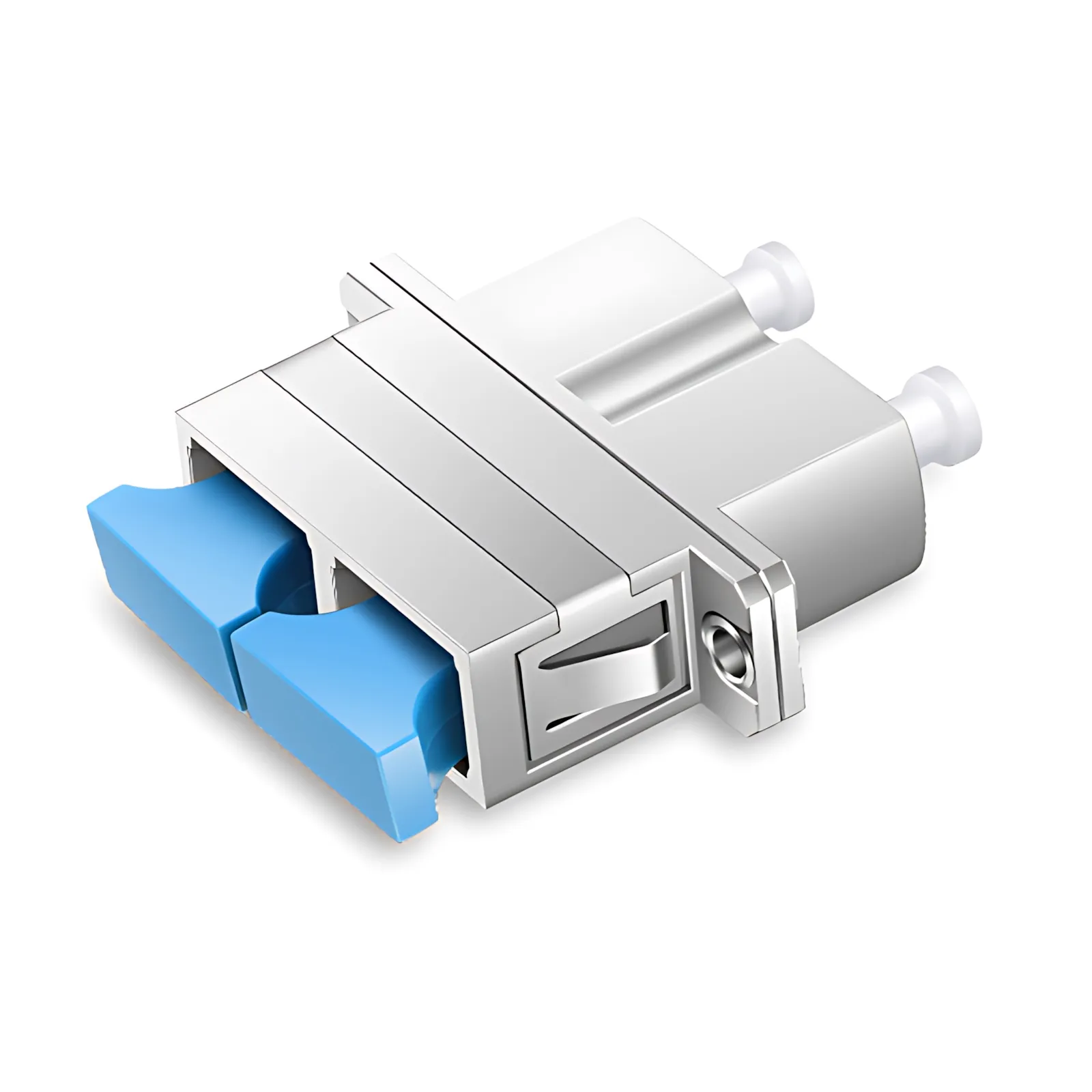 Cette image concerne .