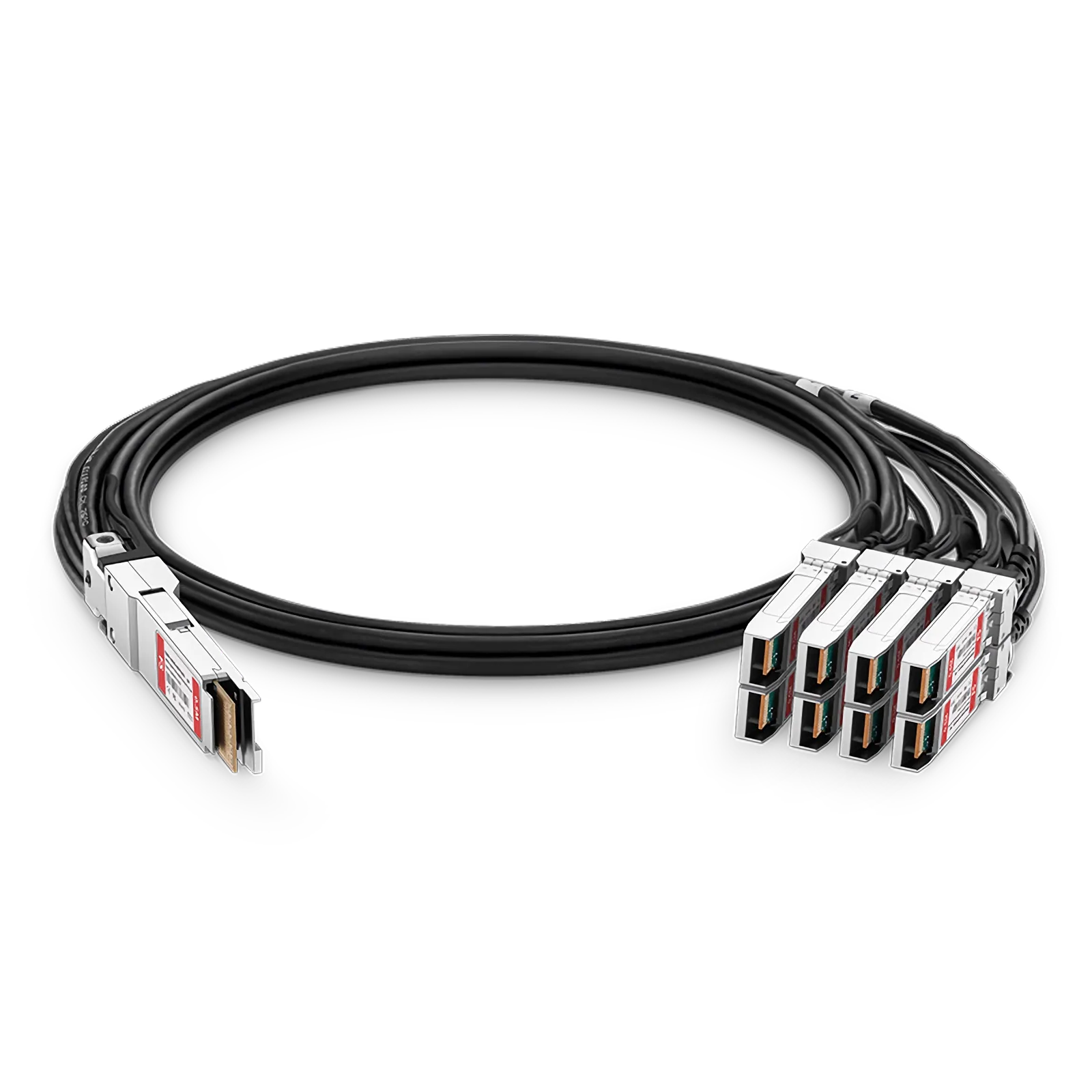 Customized 200G QSFP-DD to 8 x 25G SFP28 Passive Copper Breakout Cable