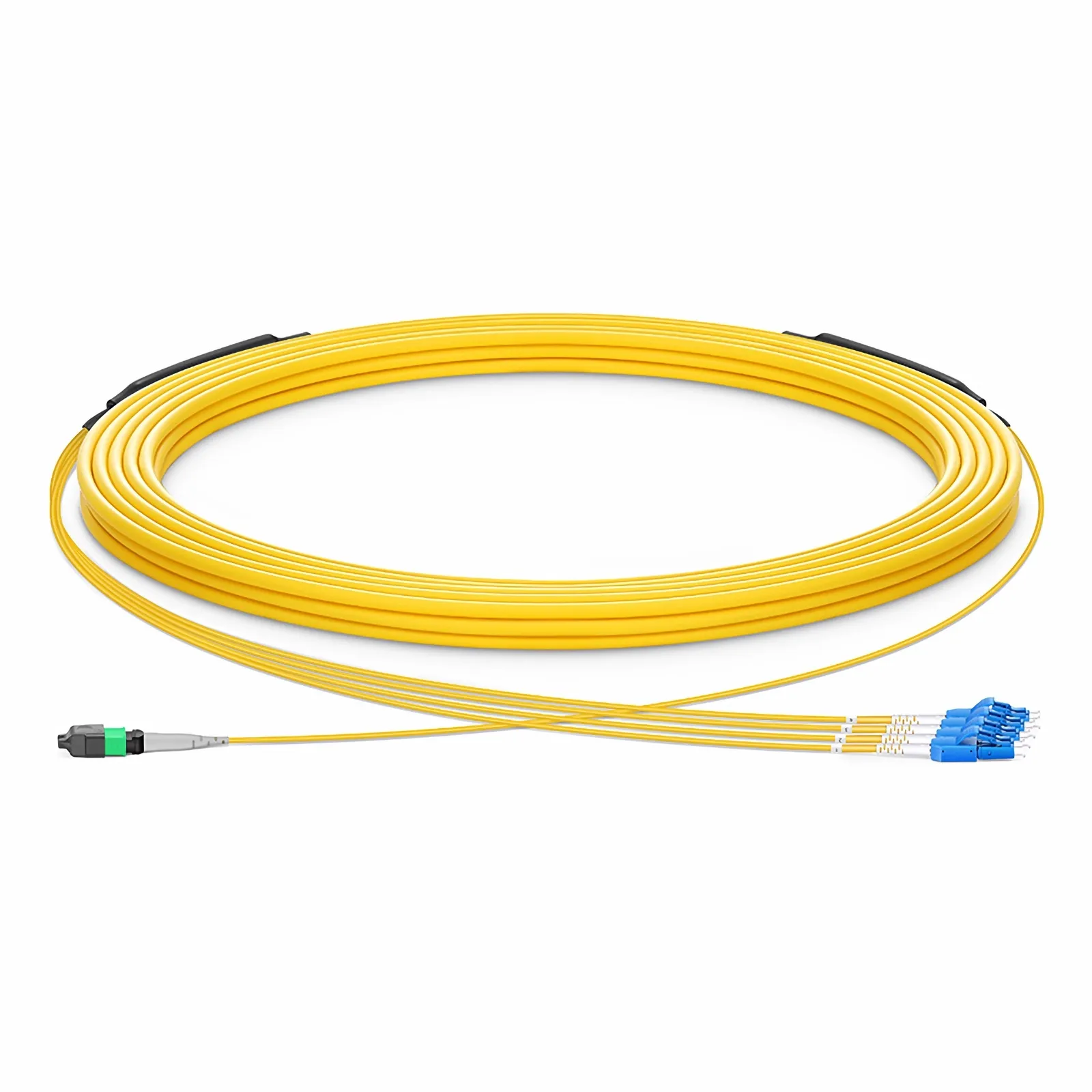 This picture is about  .