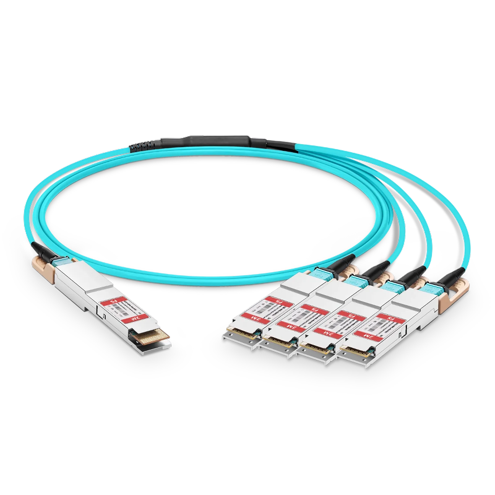 This picture is about 的.