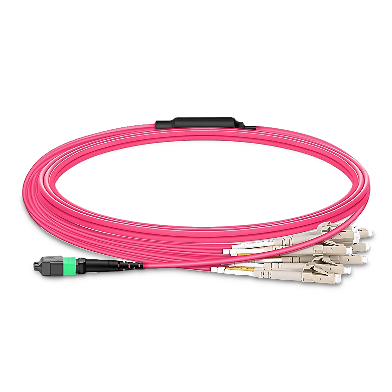 5m (16ft) arnés MTP®, MTP®-16 APC (hembra) a 8 x LC UPC dúplex, 16
