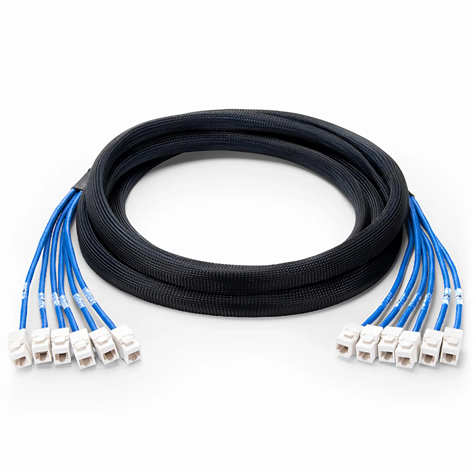 5m シールドなし（6ジャック - 6ジャック、PVC CMR、青色） | Cat6準拠