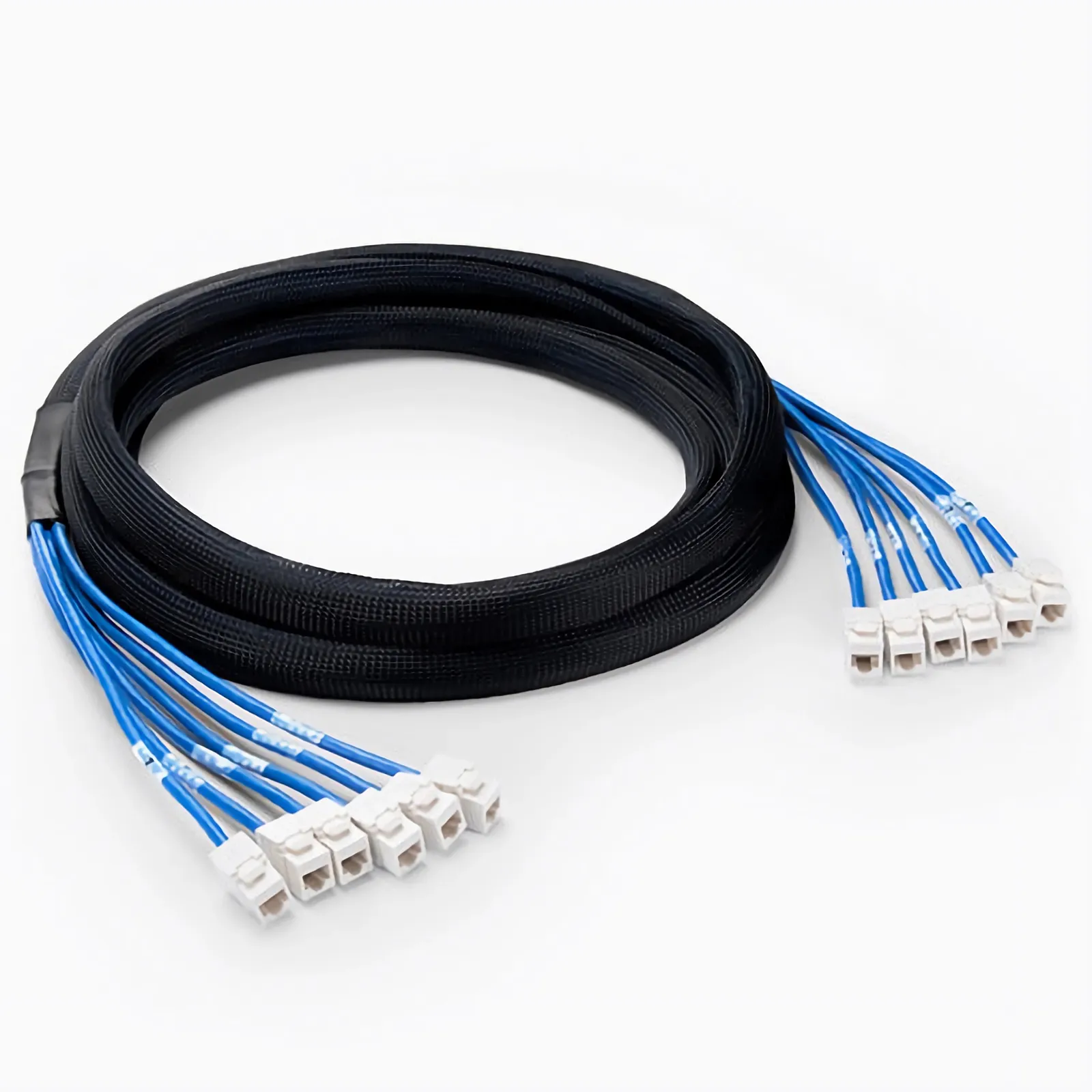 5m シールドなし（6ジャック - 6ジャック、PVC CMR、青色） | Cat6準拠