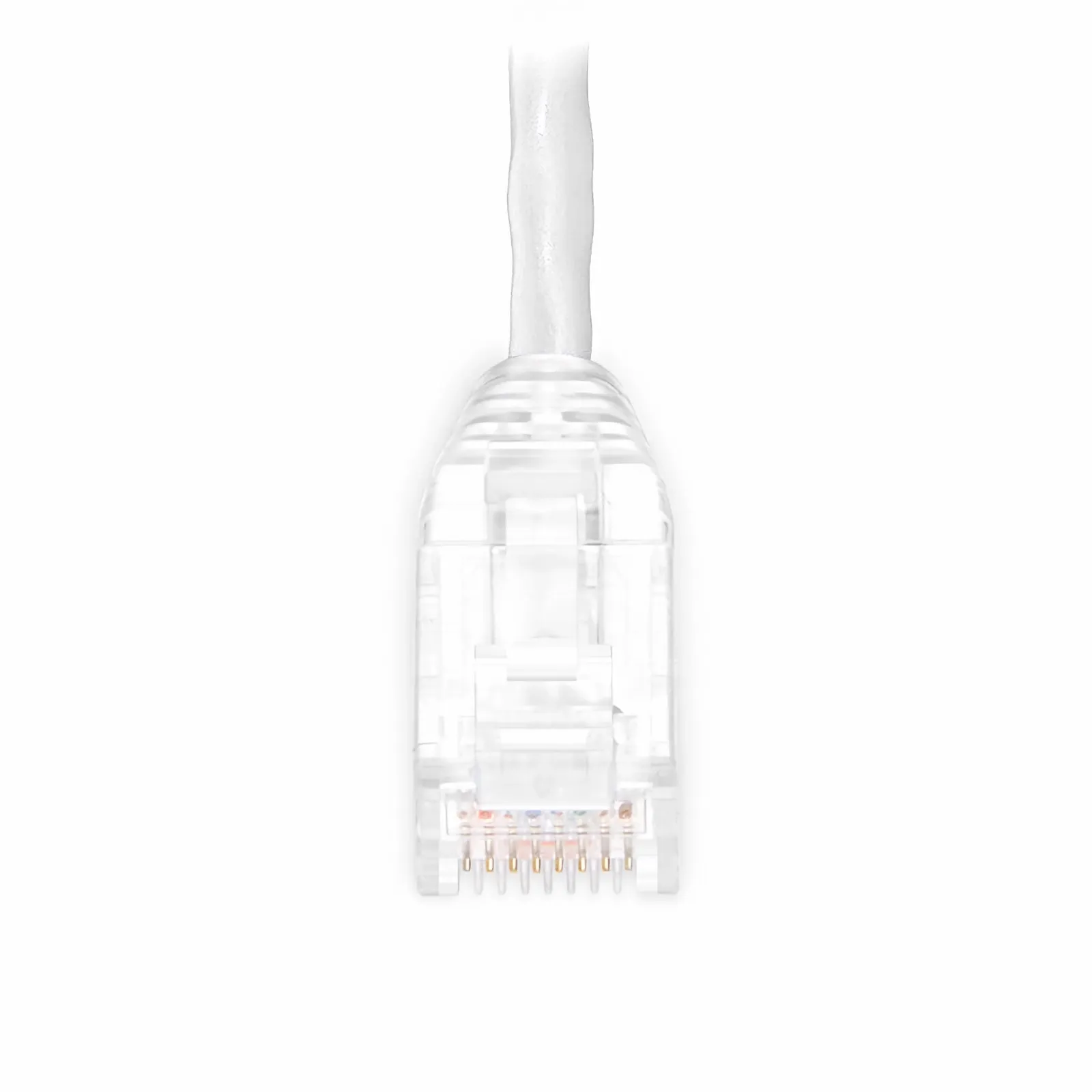 This picture is about C6UTPSGPVC-10PK.