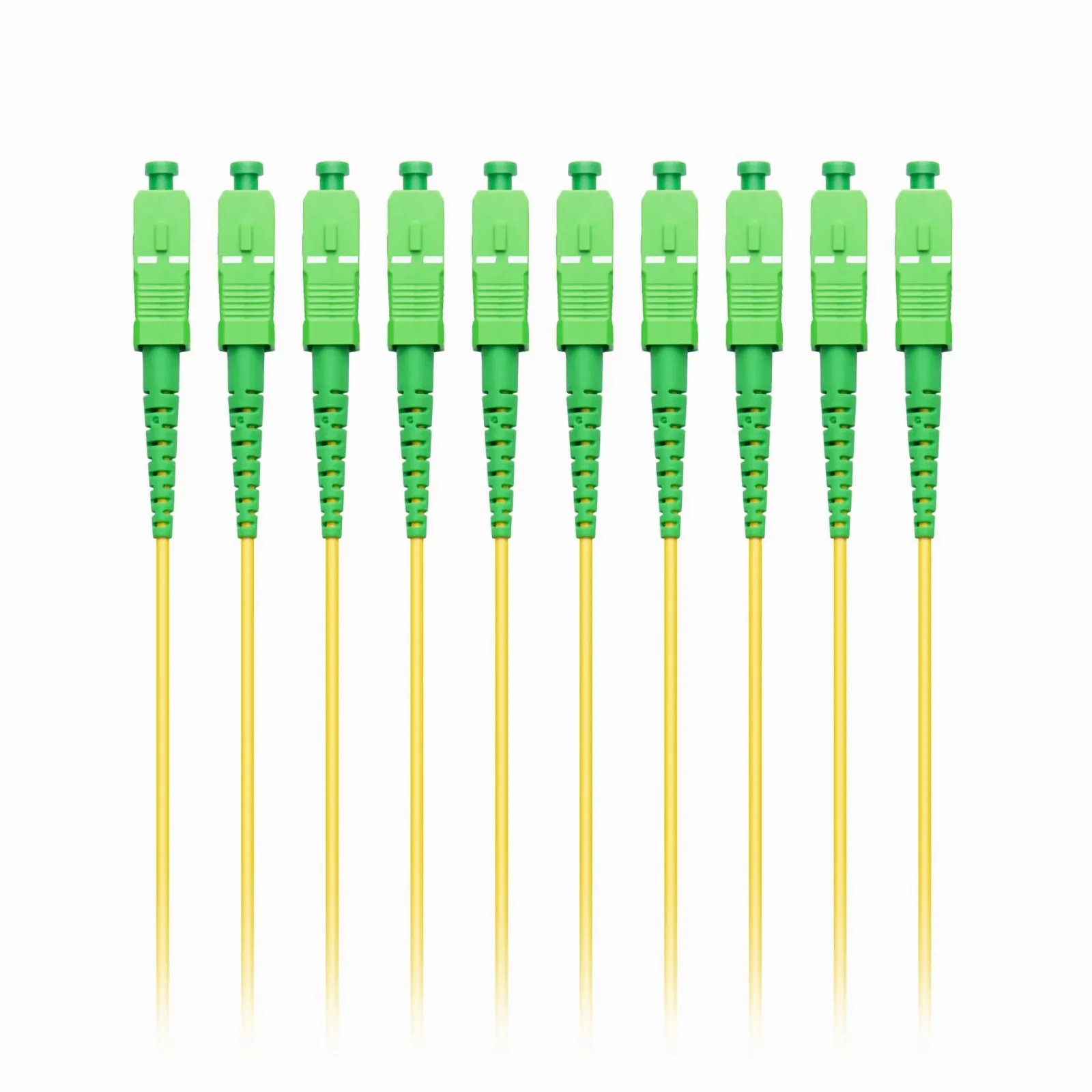 This picture is about 203289-3.