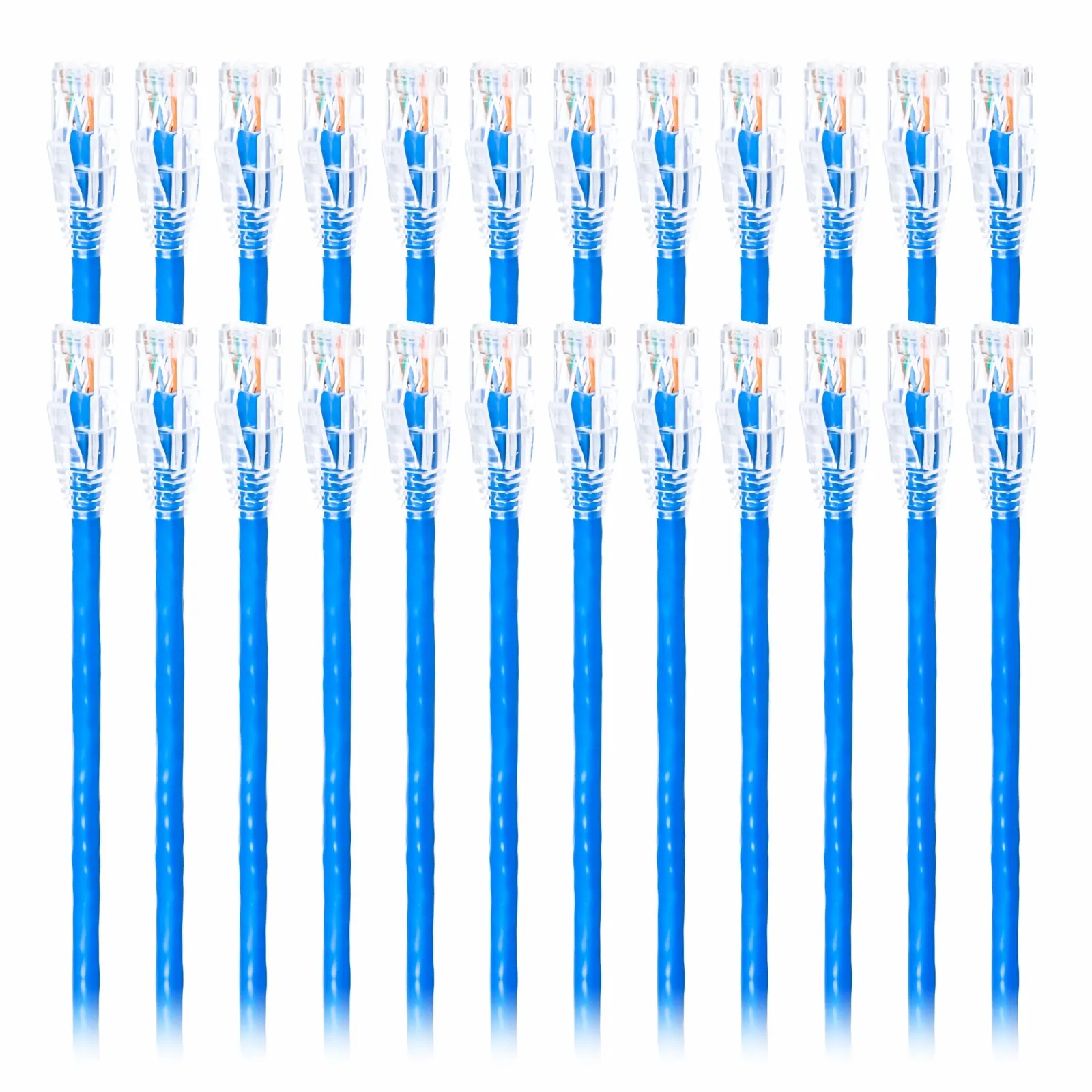 This picture is about C6UTPSGPVC-24PK.