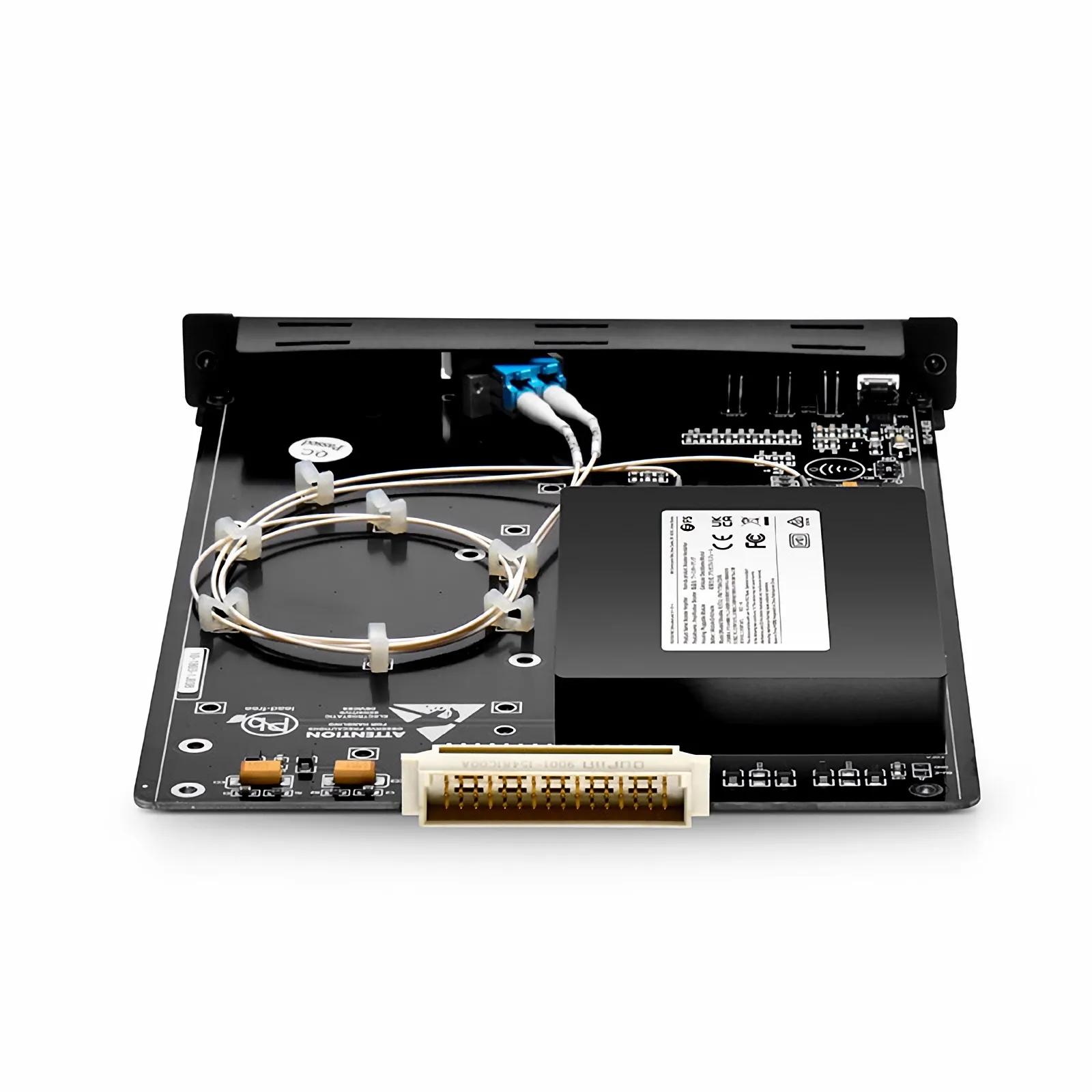 Questa immagine riguarda .