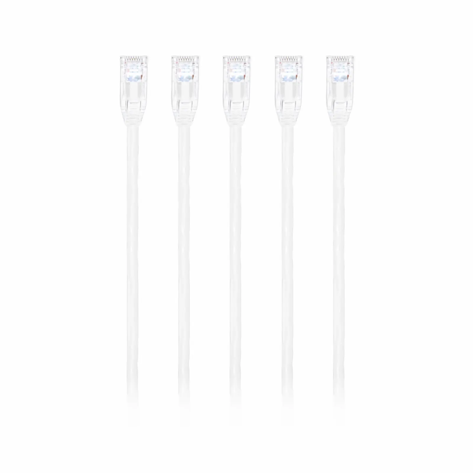 This picture is about C6UTPSGPVC-5PK.