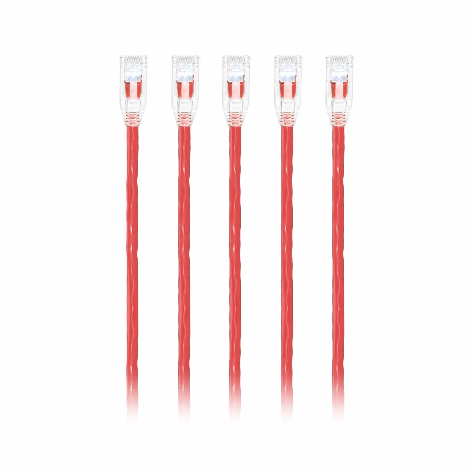 This picture is about C6UTPSGPVC-5PK.