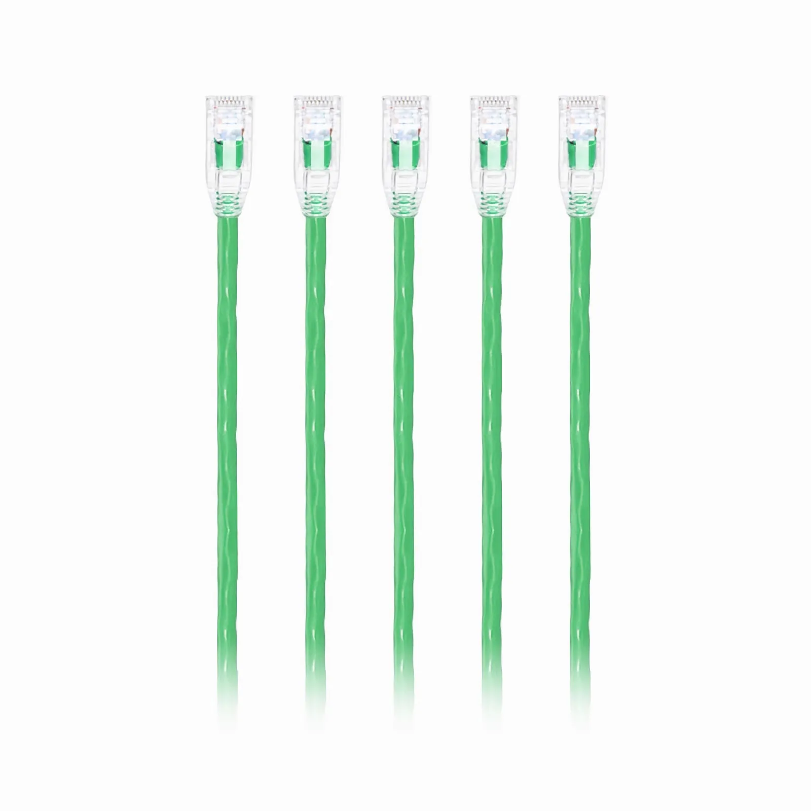 This picture is about C6UTPSGPVC-5PK.