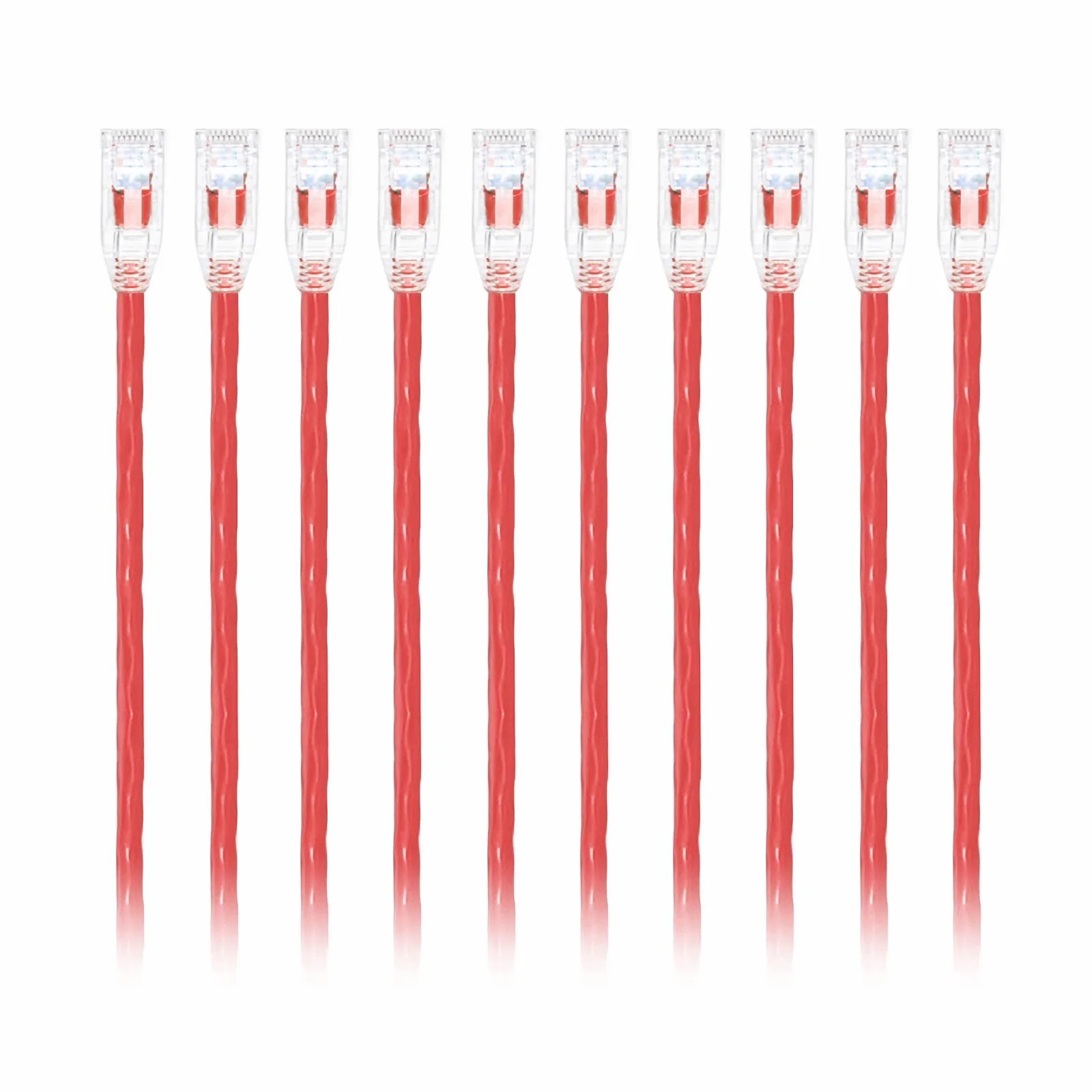 This picture is about C6UTPSGSPVC-10PK.