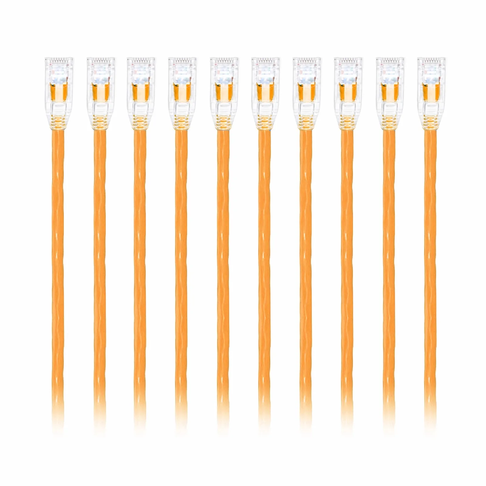 This picture is about C6UTPSGPVC-10PK.