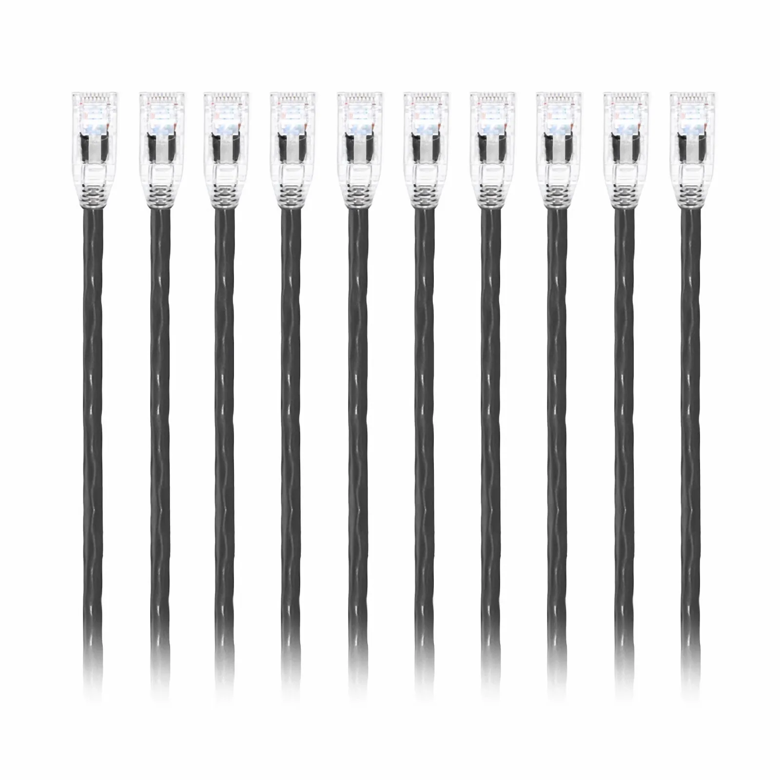 This picture is about C6UTPSGPVC-10PK.