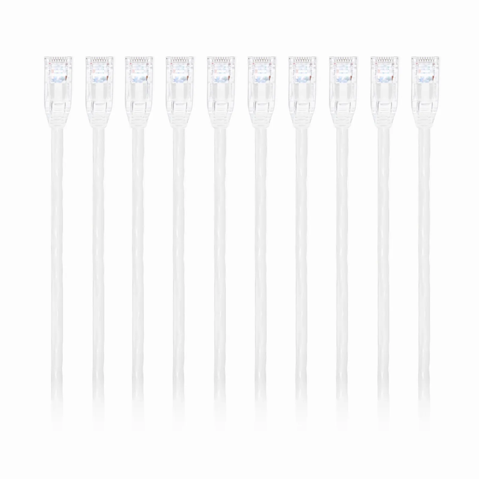 This picture is about C6UTPSGPVC-10PK.