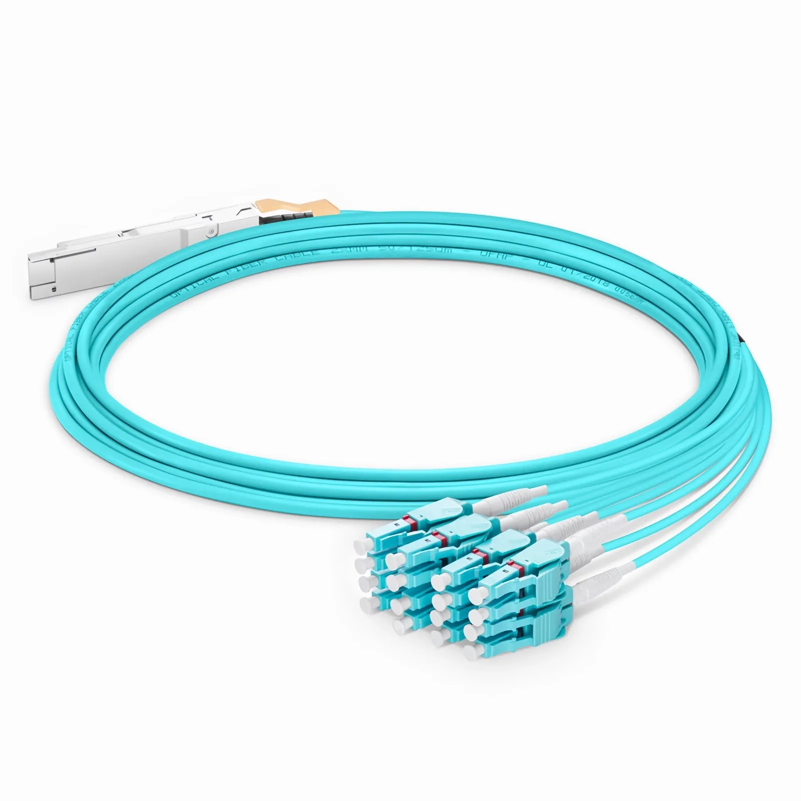 This picture is about 5.