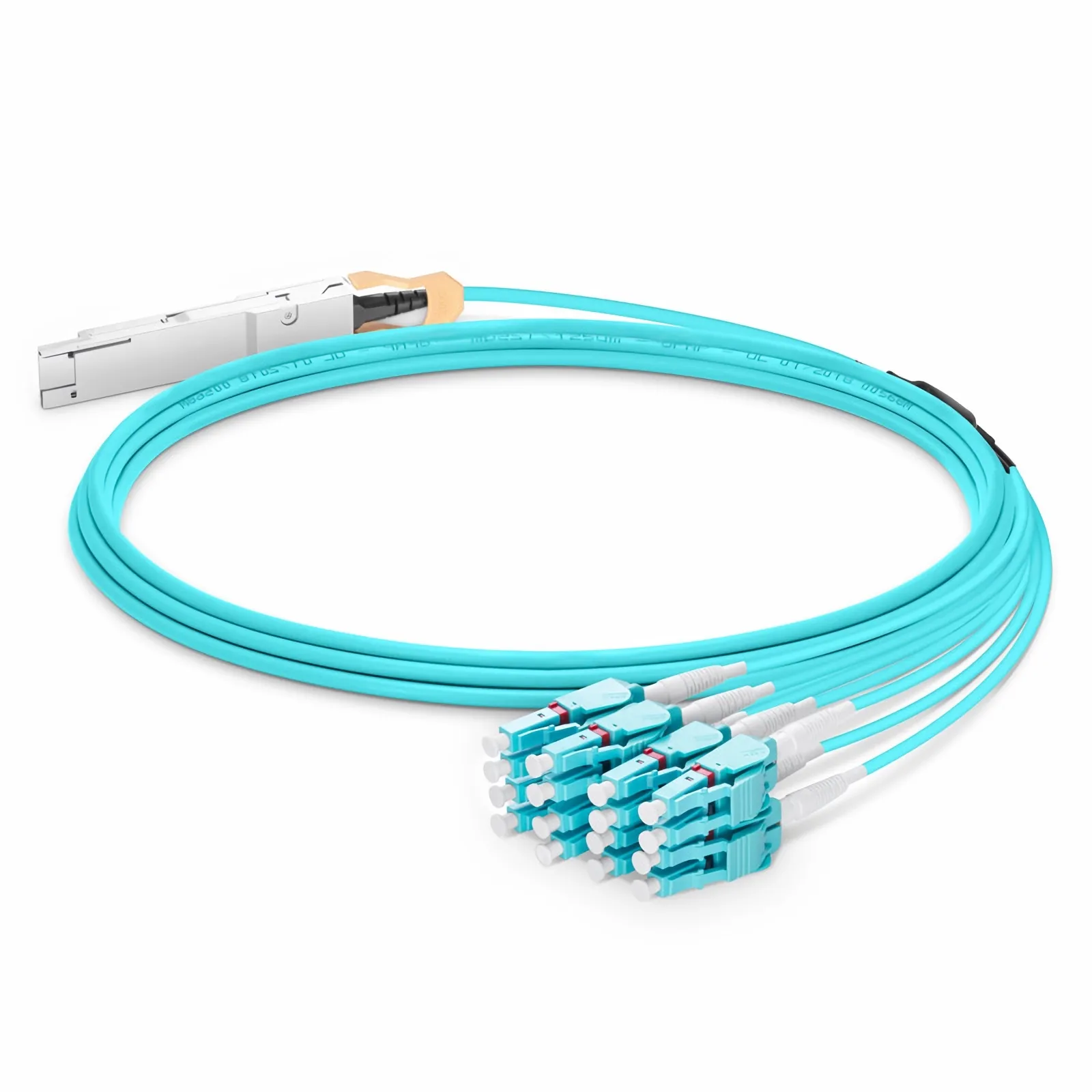 This picture is about 25.