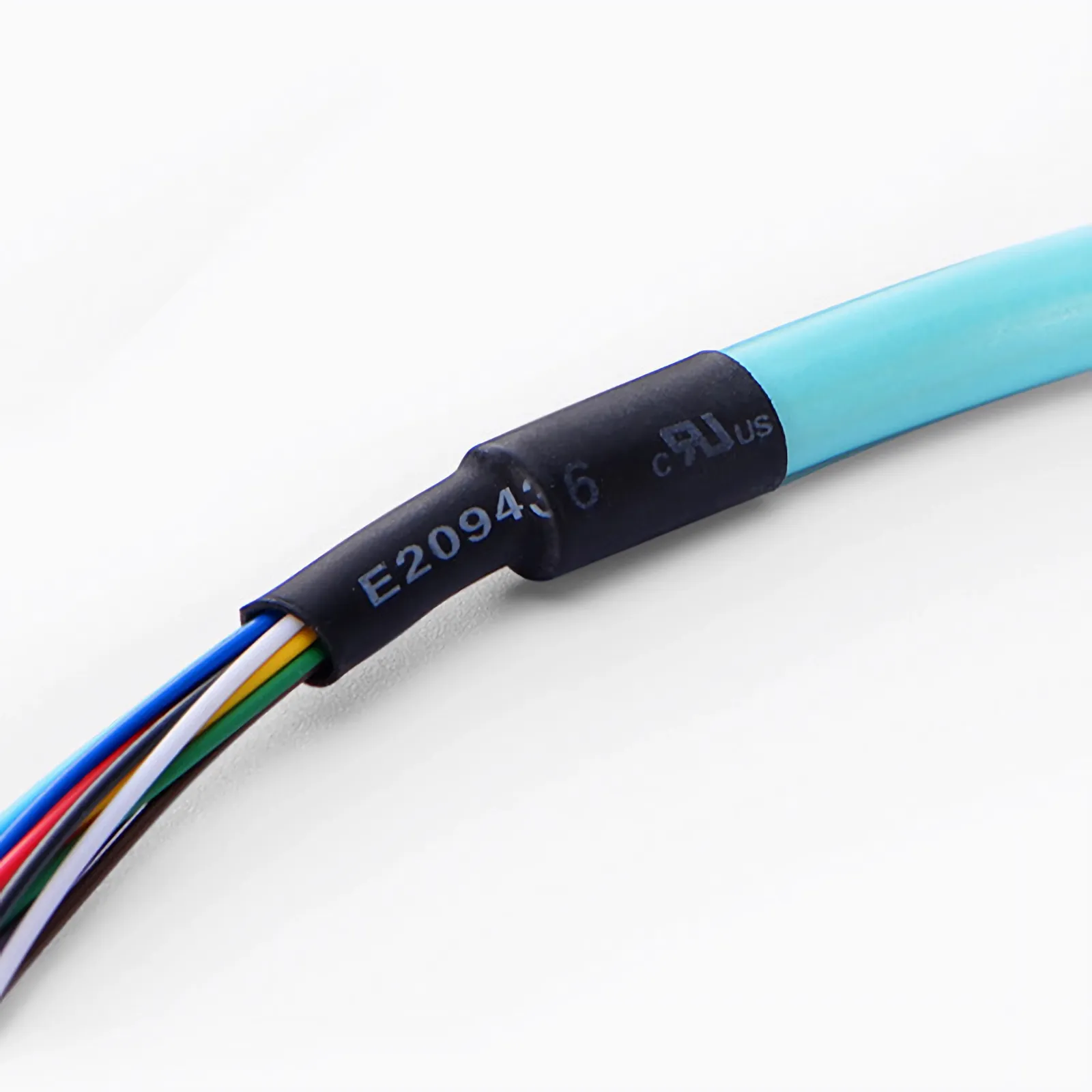1.5m (5ft) Fiber Pigtail, LC UPC to Unterminated, 12 Fibers, Bunch, OM4 Multimode, PVC (Unrated), 0.9mm, Aqua