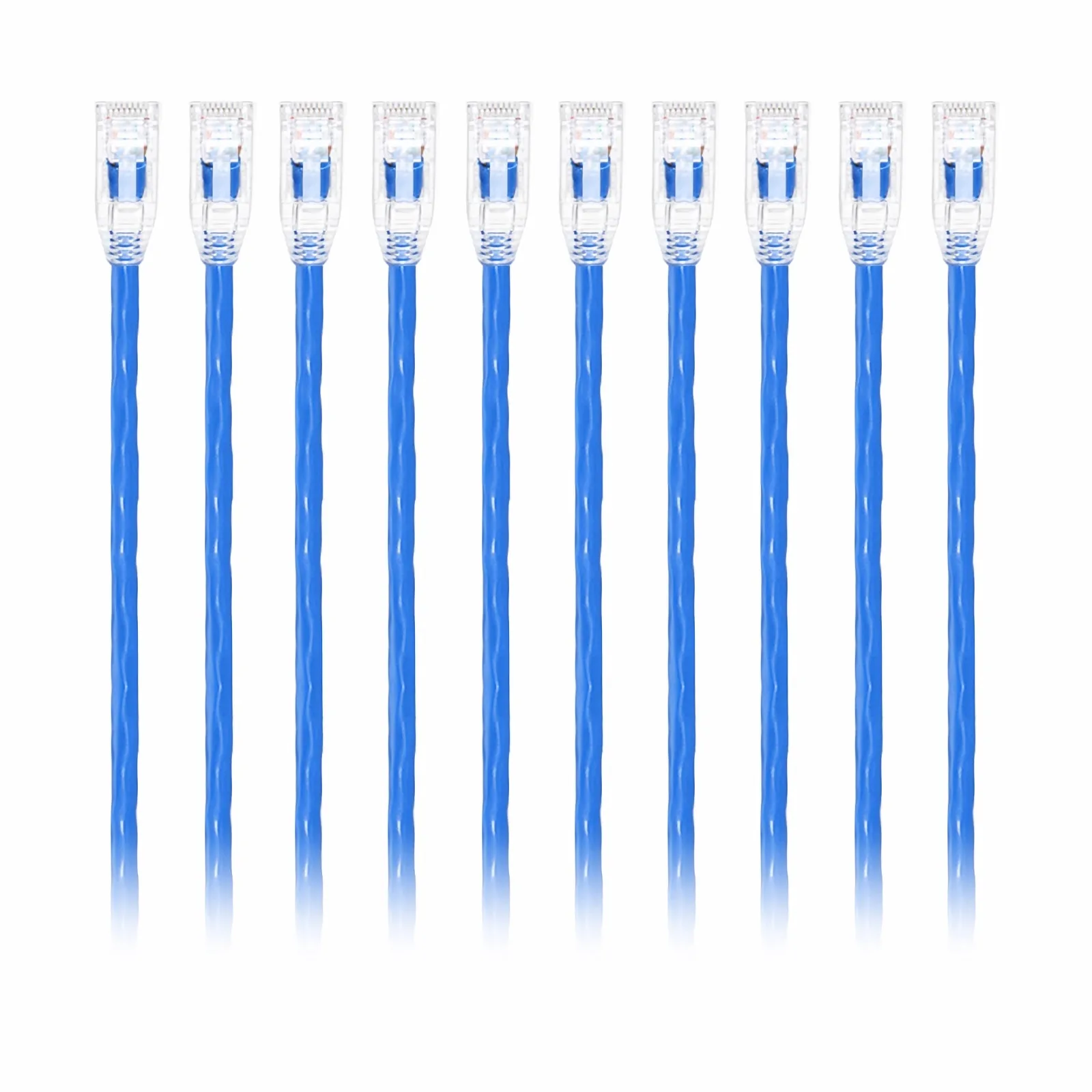 This picture is about C6UTPSGPVC-10PK.