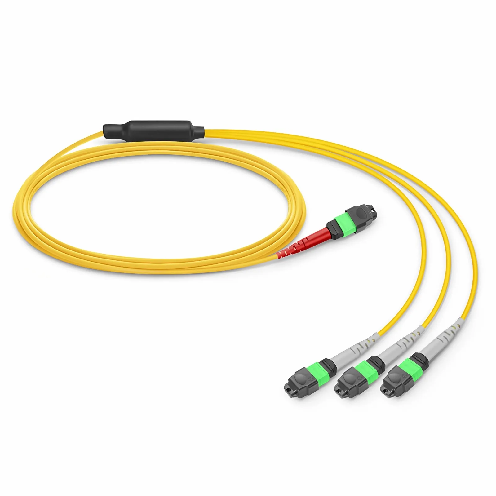 This picture is about 24FMTPSMF.