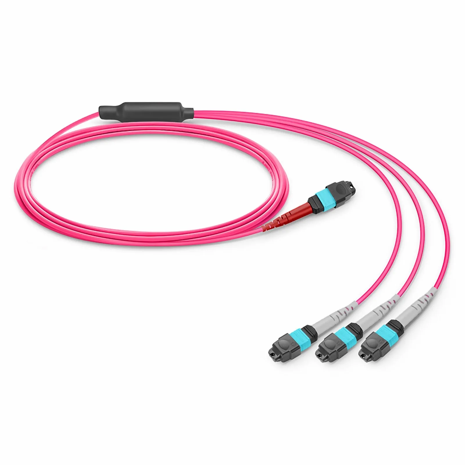 VERMICULAR24センチ 10m (33ft) MTP® Breakout Cable, MTP®-24 UPC (Female) to 3 x