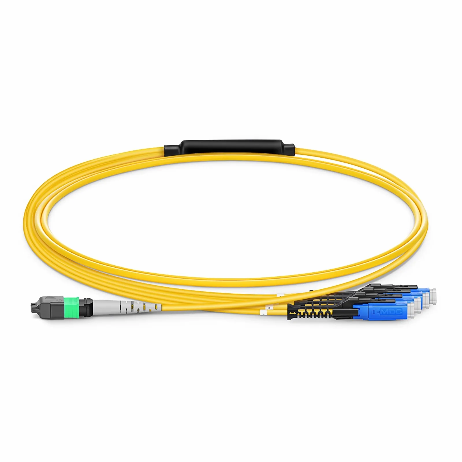 This picture is about 8FMTPMDCSMF.