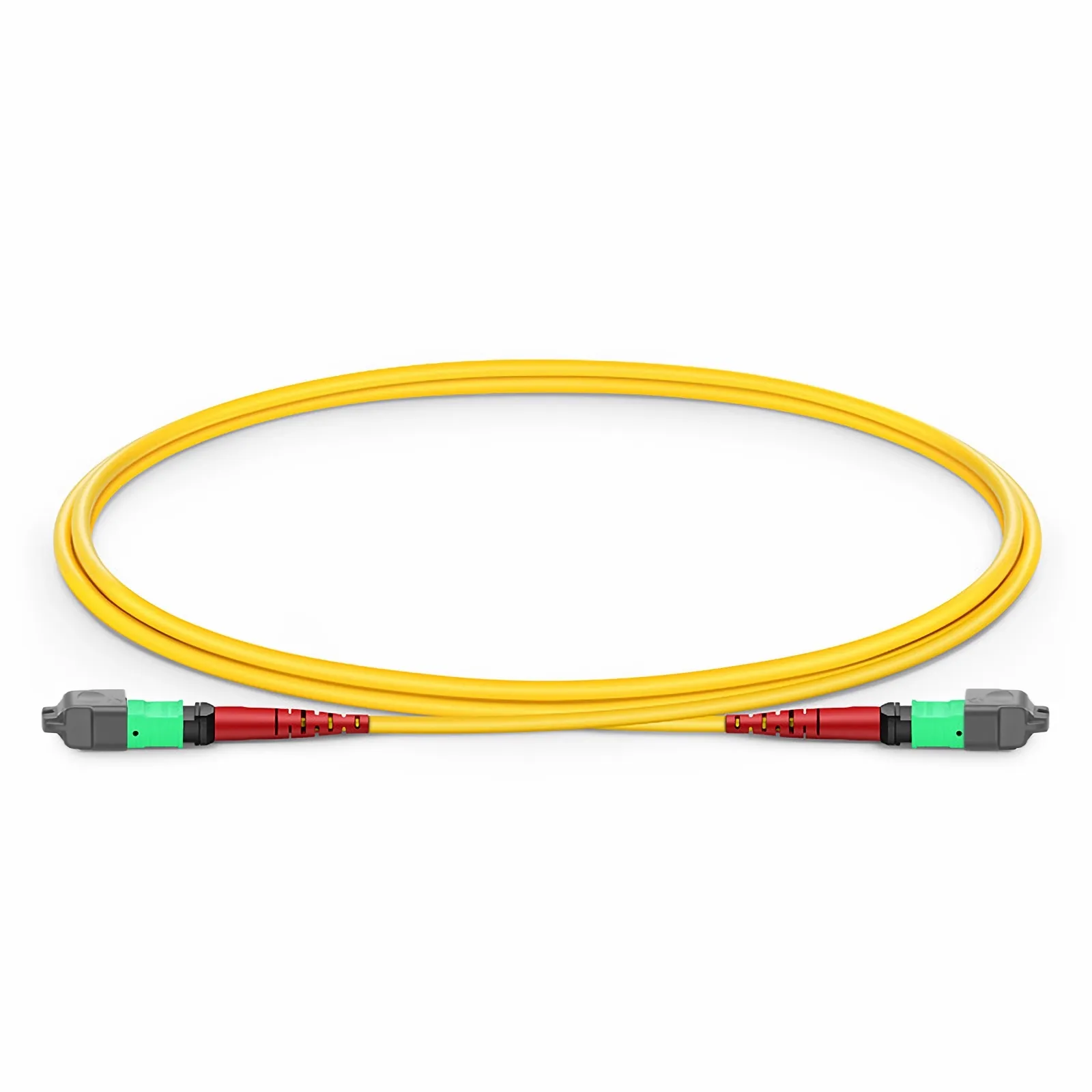 Cette image concerne 24FMTPSMF.