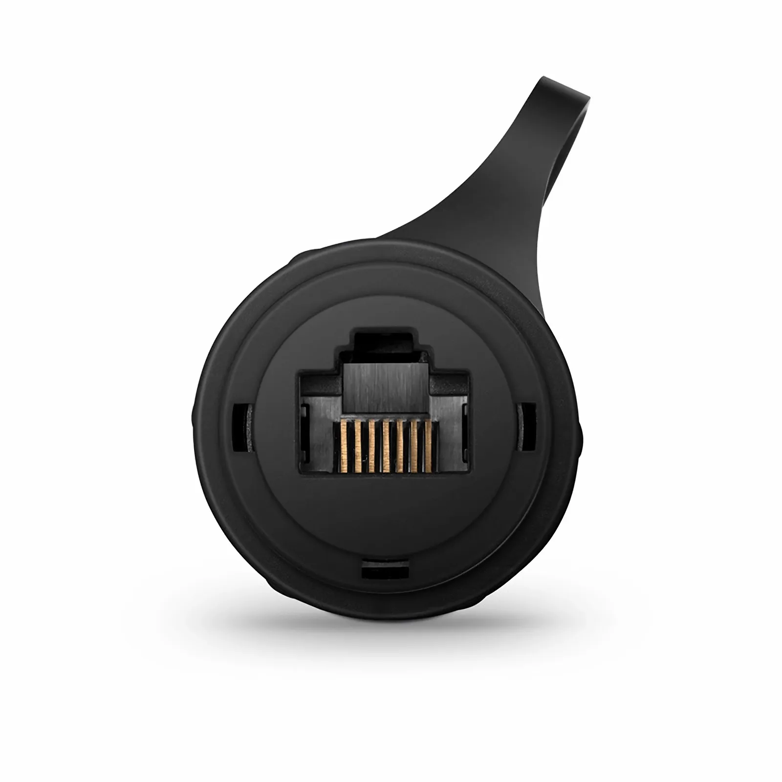 Cette image concerne IBCWP.